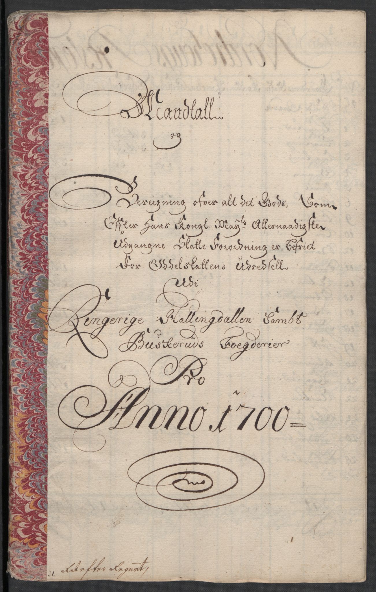 Rentekammeret inntil 1814, Reviderte regnskaper, Fogderegnskap, AV/RA-EA-4092/R22/L1457: Fogderegnskap Ringerike, Hallingdal og Buskerud, 1700, s. 132