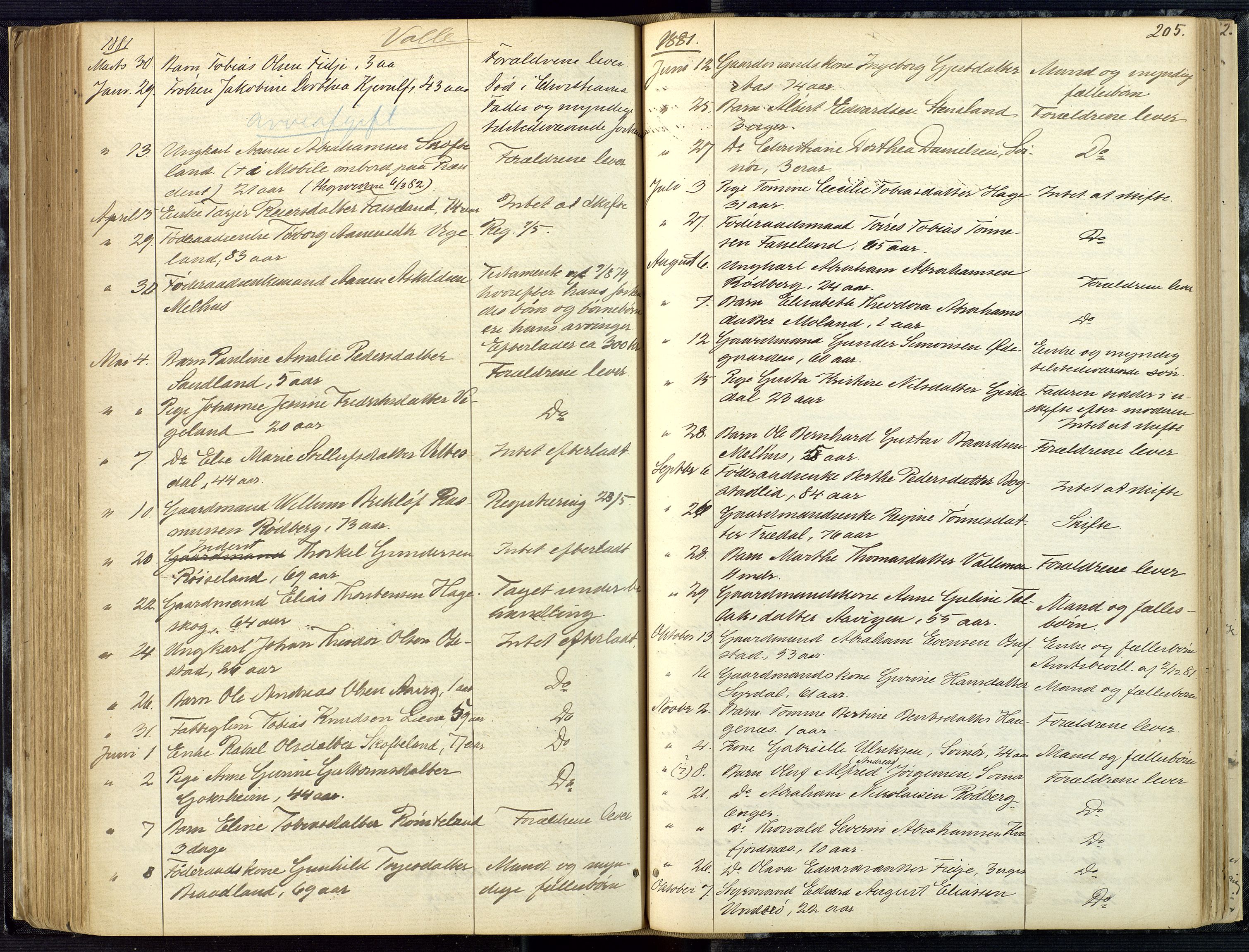Mandal sorenskriveri, AV/SAK-1221-0005/001/H/Ha/L0001: Dødsfall hele sorenskriveriet nr A1, 1862-1901, s. 204b-205a