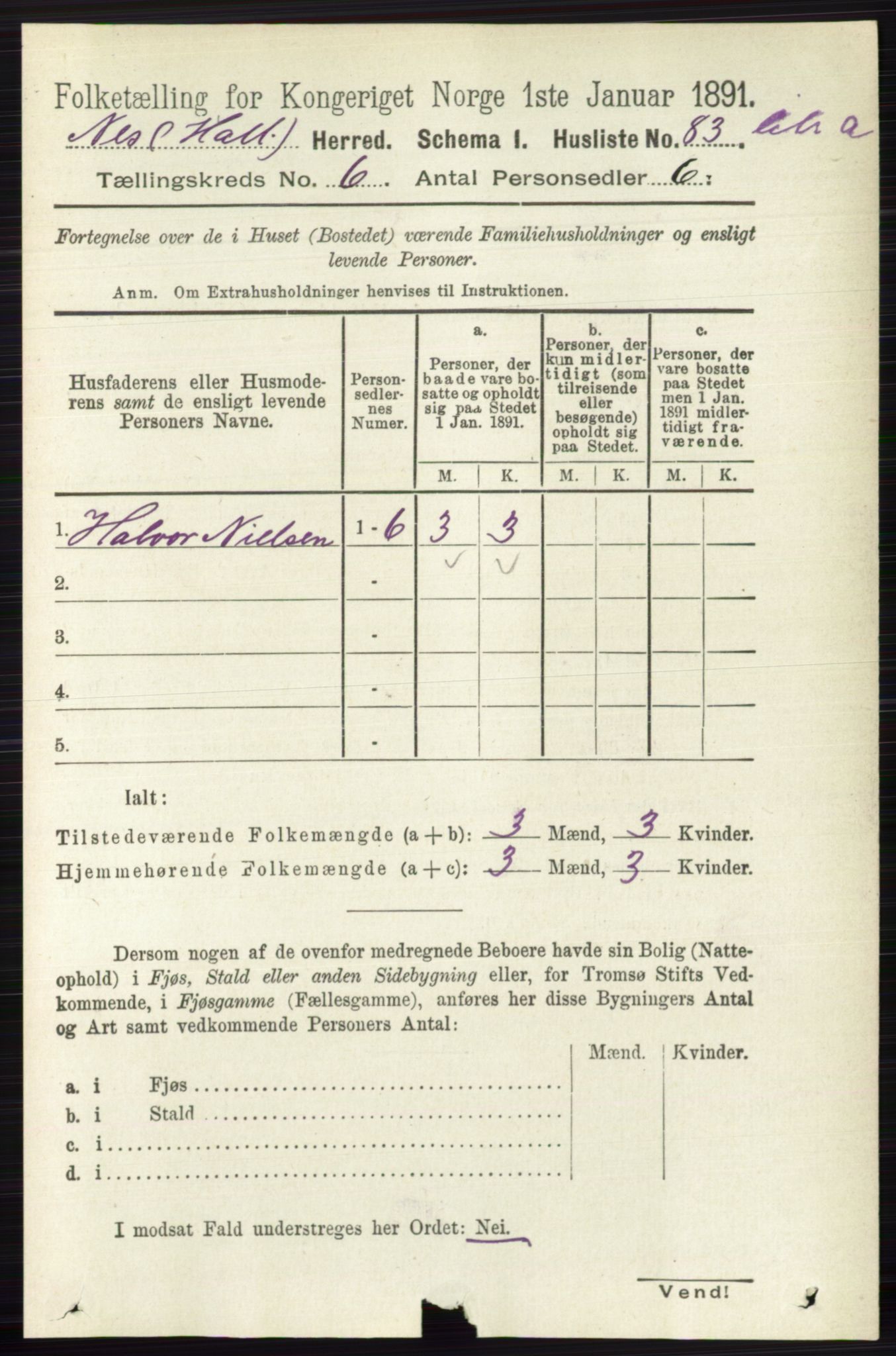 RA, Folketelling 1891 for 0616 Nes herred, 1891, s. 3037