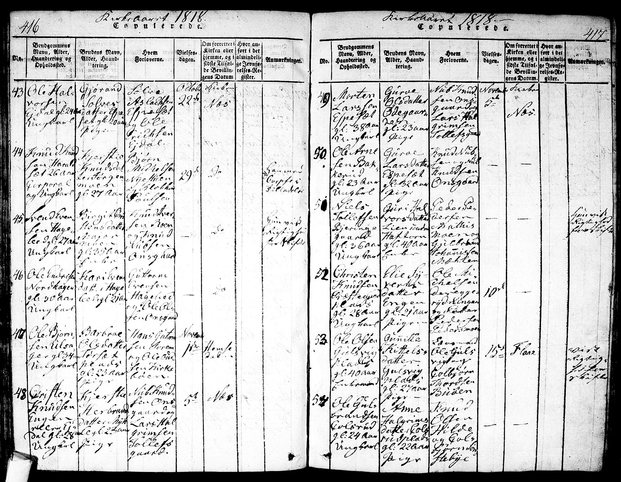 Nes kirkebøker, AV/SAKO-A-236/F/Fa/L0007: Ministerialbok nr. 7, 1815-1823, s. 416-417