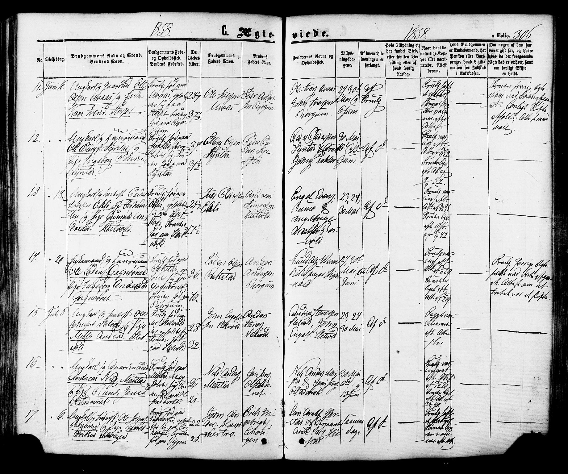 Ministerialprotokoller, klokkerbøker og fødselsregistre - Sør-Trøndelag, AV/SAT-A-1456/665/L0772: Ministerialbok nr. 665A07, 1856-1878, s. 306