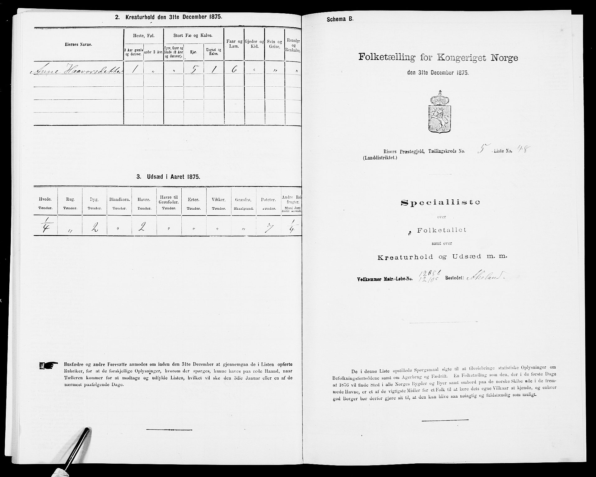 SAK, Folketelling 1875 for 0913L Risør prestegjeld, Søndeled sokn, 1875, s. 883