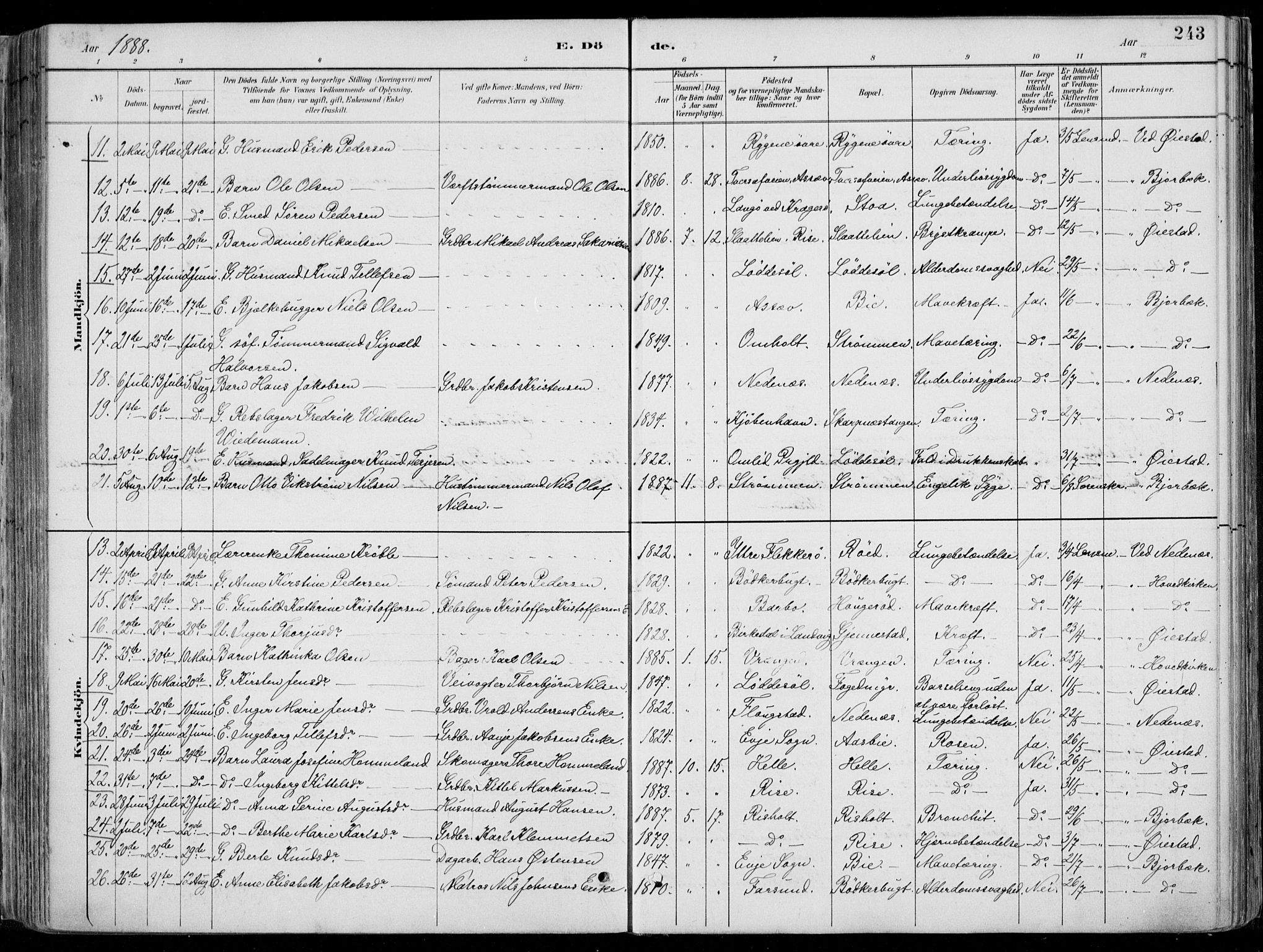Øyestad sokneprestkontor, AV/SAK-1111-0049/F/Fa/L0017: Ministerialbok nr. A 17, 1887-1896, s. 243
