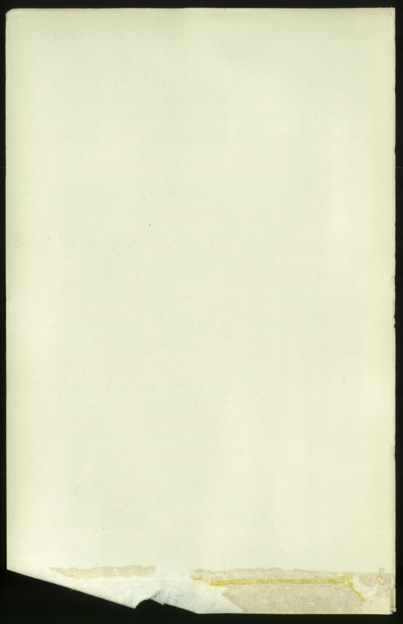 RA, Folketelling 1891 for 0707 Larvik kjøpstad, 1891, s. 4120