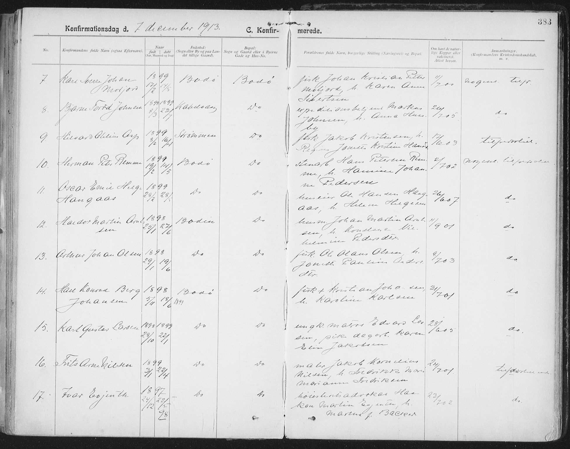 Ministerialprotokoller, klokkerbøker og fødselsregistre - Nordland, AV/SAT-A-1459/801/L0011: Ministerialbok nr. 801A11, 1900-1916, s. 383