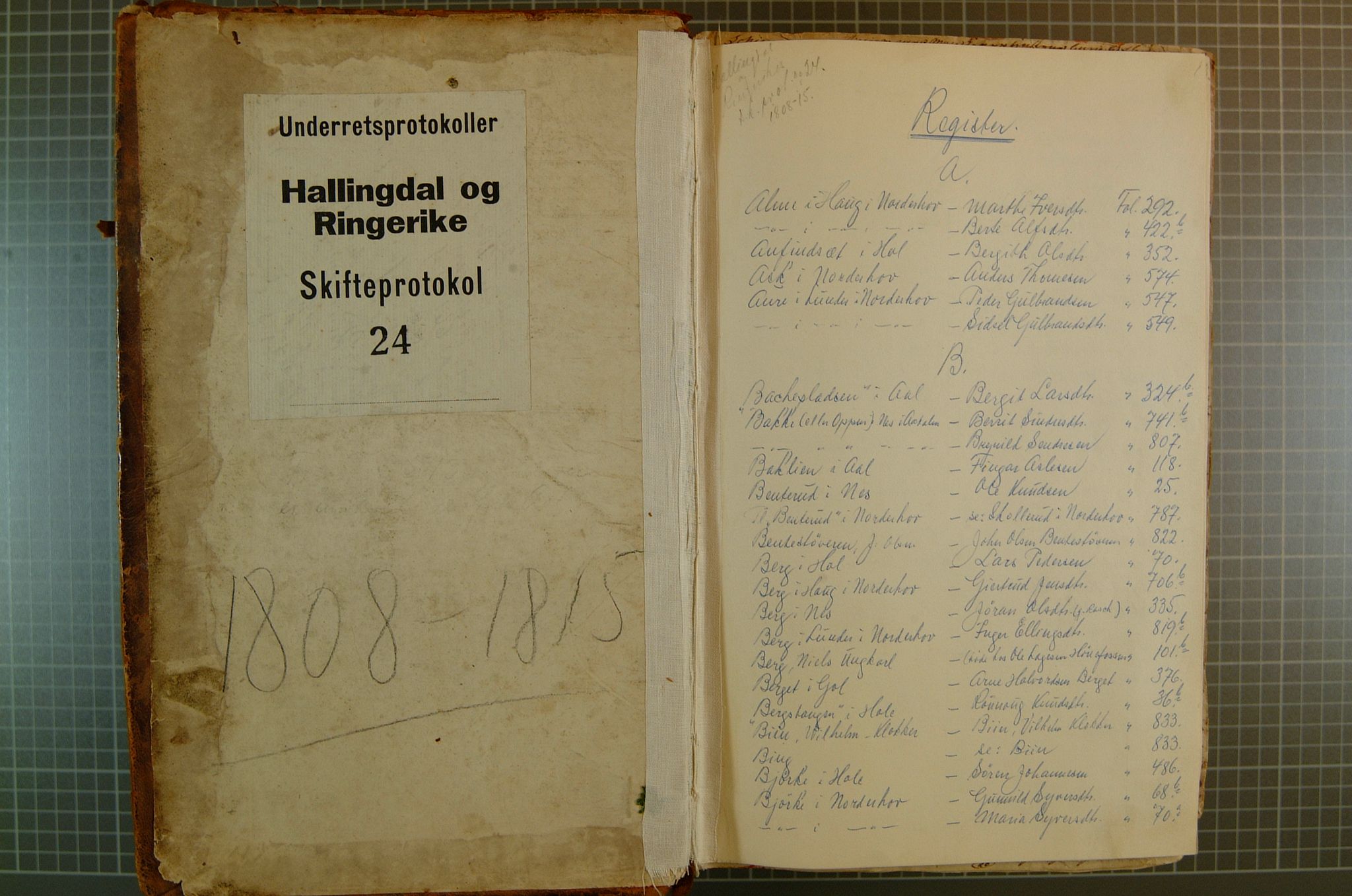 Ringerike og Hallingdal sorenskriveri, SAKO/A-81/H/Ha/L0024: Skifteprotokoll, 1808-1815