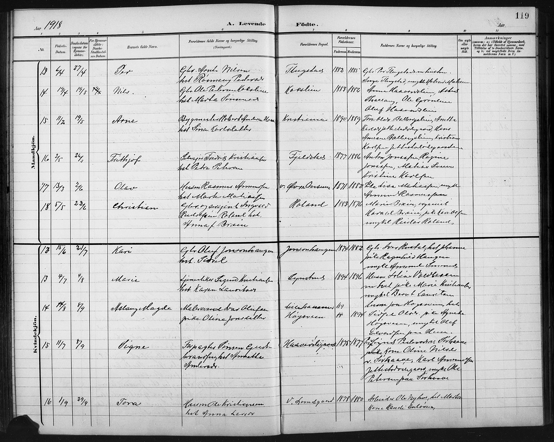 Fåberg prestekontor, AV/SAH-PREST-086/H/Ha/Hab/L0011: Klokkerbok nr. 11, 1901-1921, s. 119