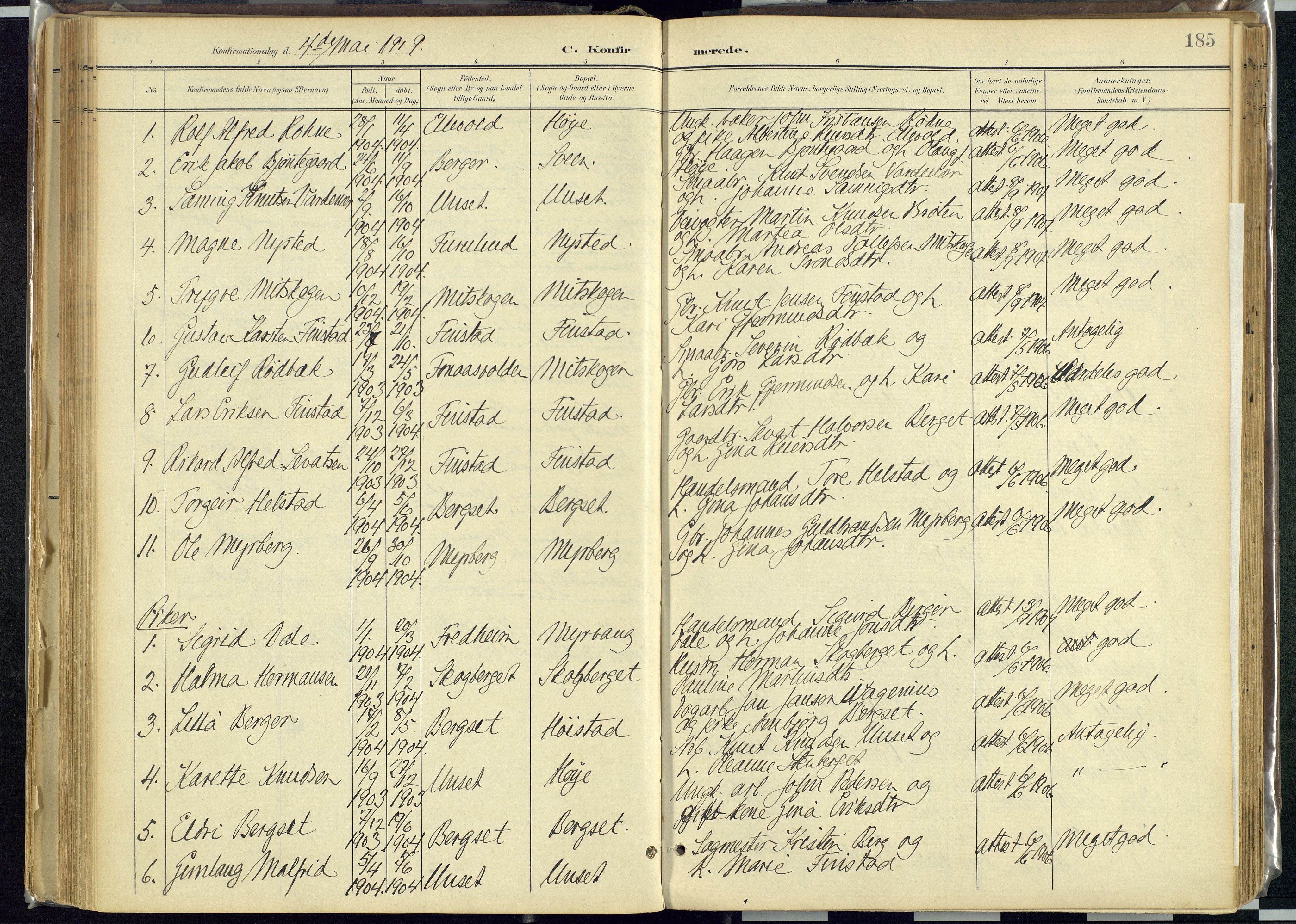 Rendalen prestekontor, AV/SAH-PREST-054/H/Ha/Haa/L0012: Ministerialbok nr. 12, 1901-1928, s. 185