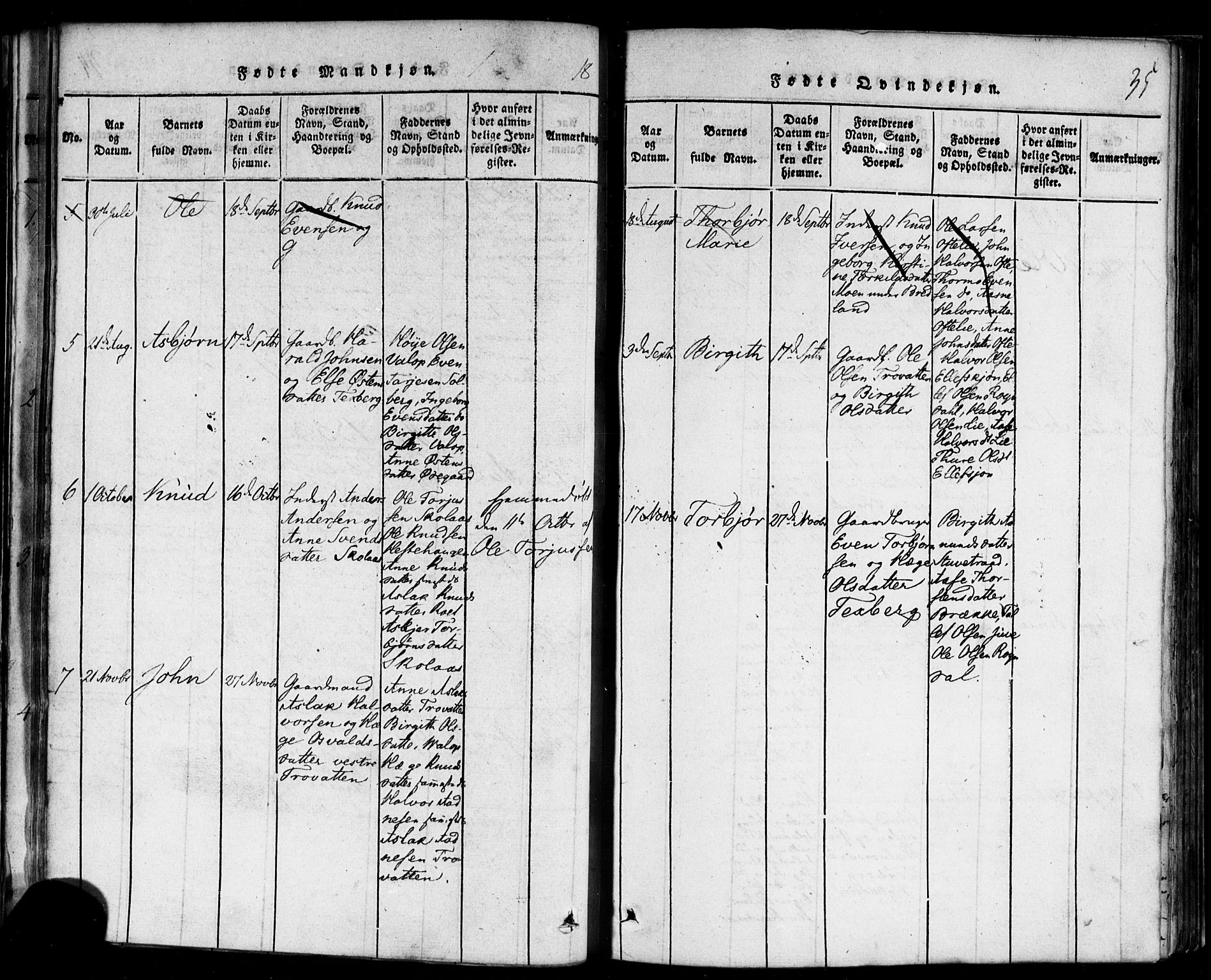 Rauland kirkebøker, AV/SAKO-A-292/F/Fa/L0002: Ministerialbok nr. I 2, 1815-1860, s. 35