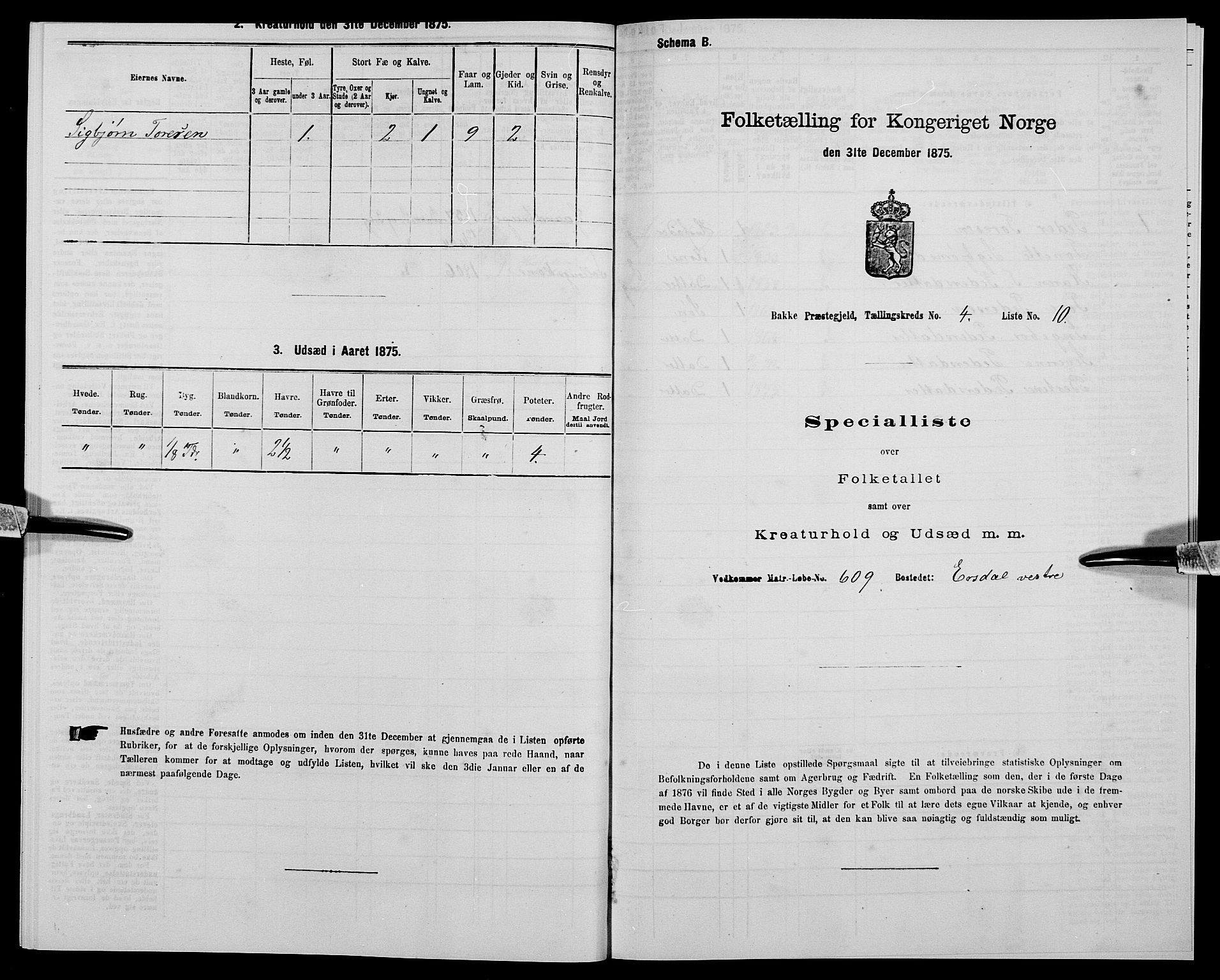 SAK, Folketelling 1875 for 1045P Bakke prestegjeld, 1875, s. 401