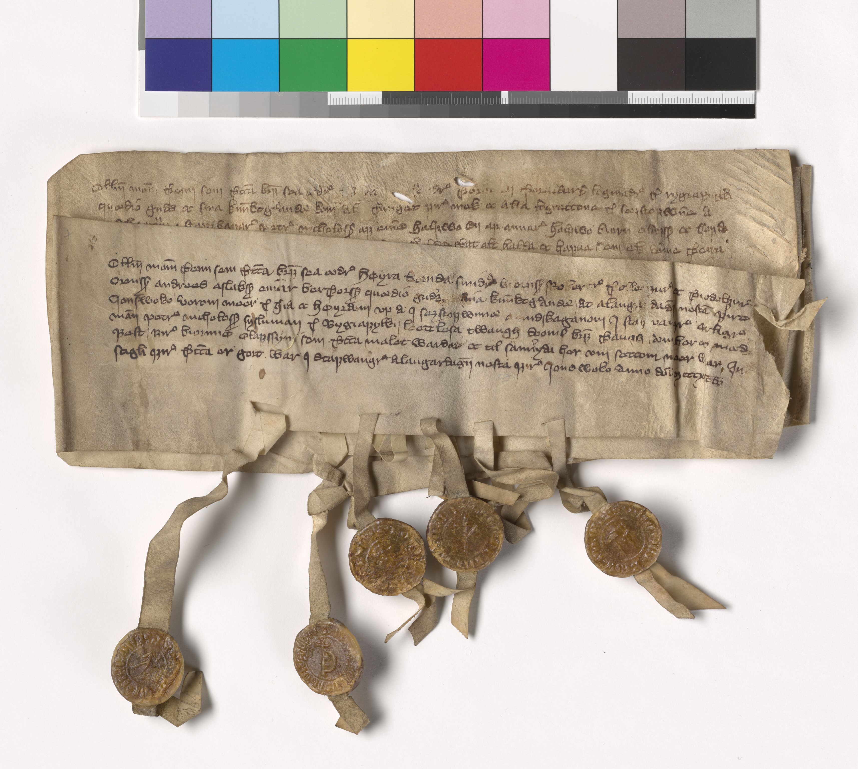 Riksarkivets diplomsamling, AV/RA-EA-5965/F05/L0117: NRA AM fasc. 38 nr. 3-5, 1391-1392, s. 2