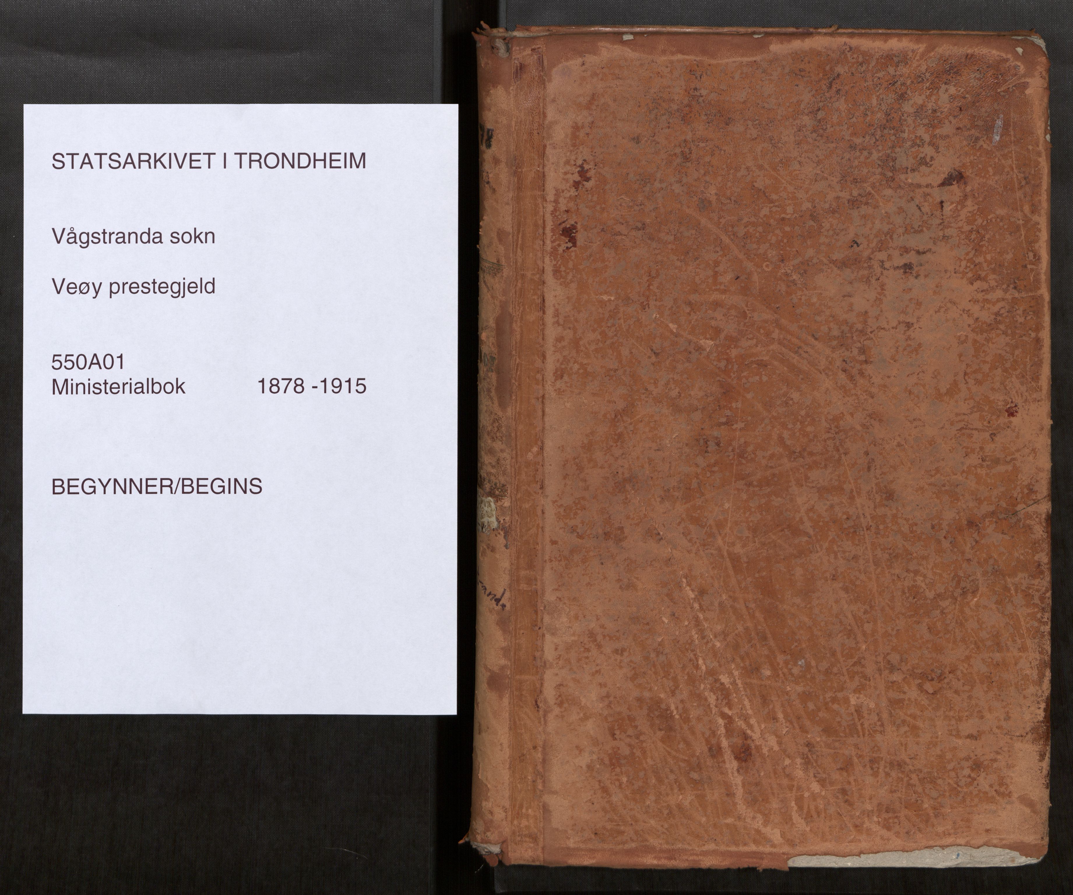 Ministerialprotokoller, klokkerbøker og fødselsregistre - Møre og Romsdal, SAT/A-1454/550/L0621: Ministerialbok nr. 550A01, 1878-1915