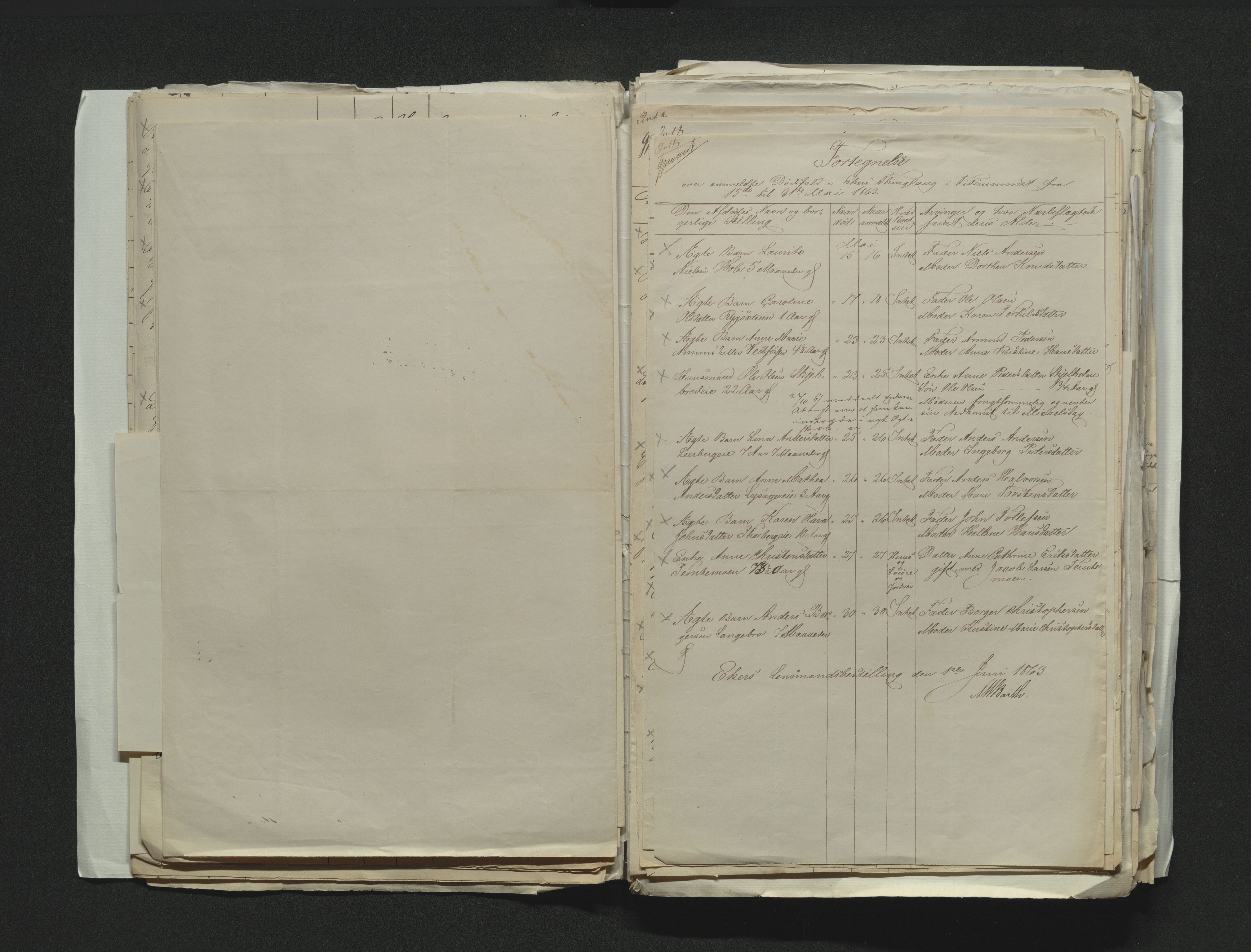 Eiker, Modum og Sigdal sorenskriveri, AV/SAKO-A-123/H/Ha/Hab/L0011: Dødsfallsmeldinger, 1862-1865, s. 195