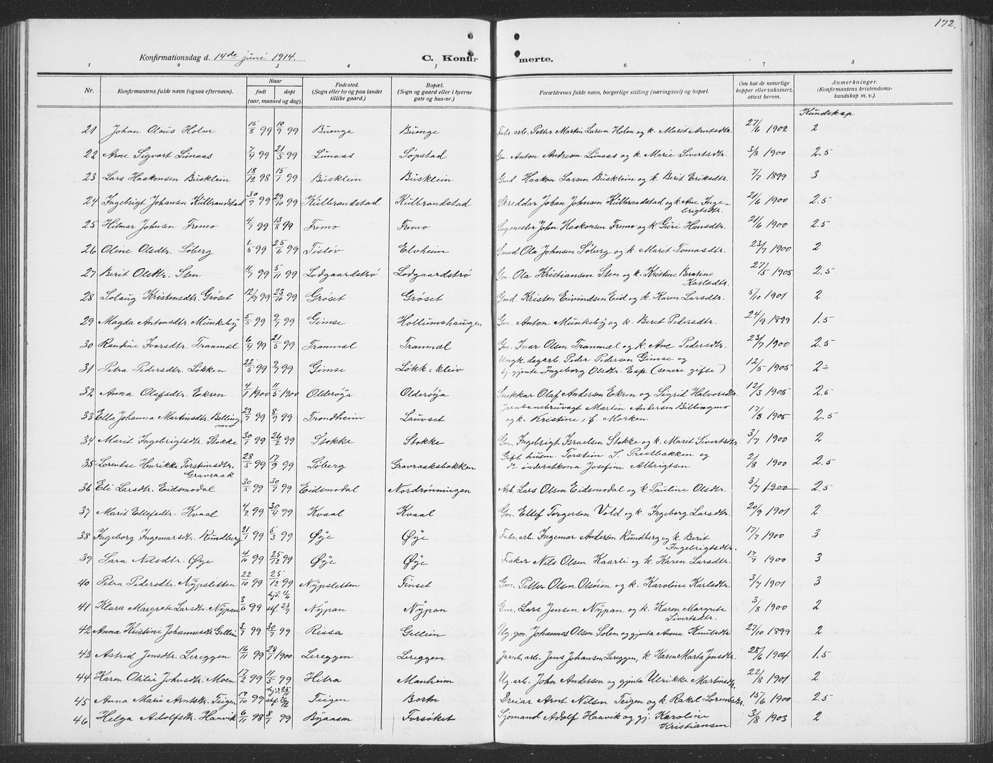 Ministerialprotokoller, klokkerbøker og fødselsregistre - Sør-Trøndelag, AV/SAT-A-1456/691/L1095: Klokkerbok nr. 691C06, 1912-1933, s. 172