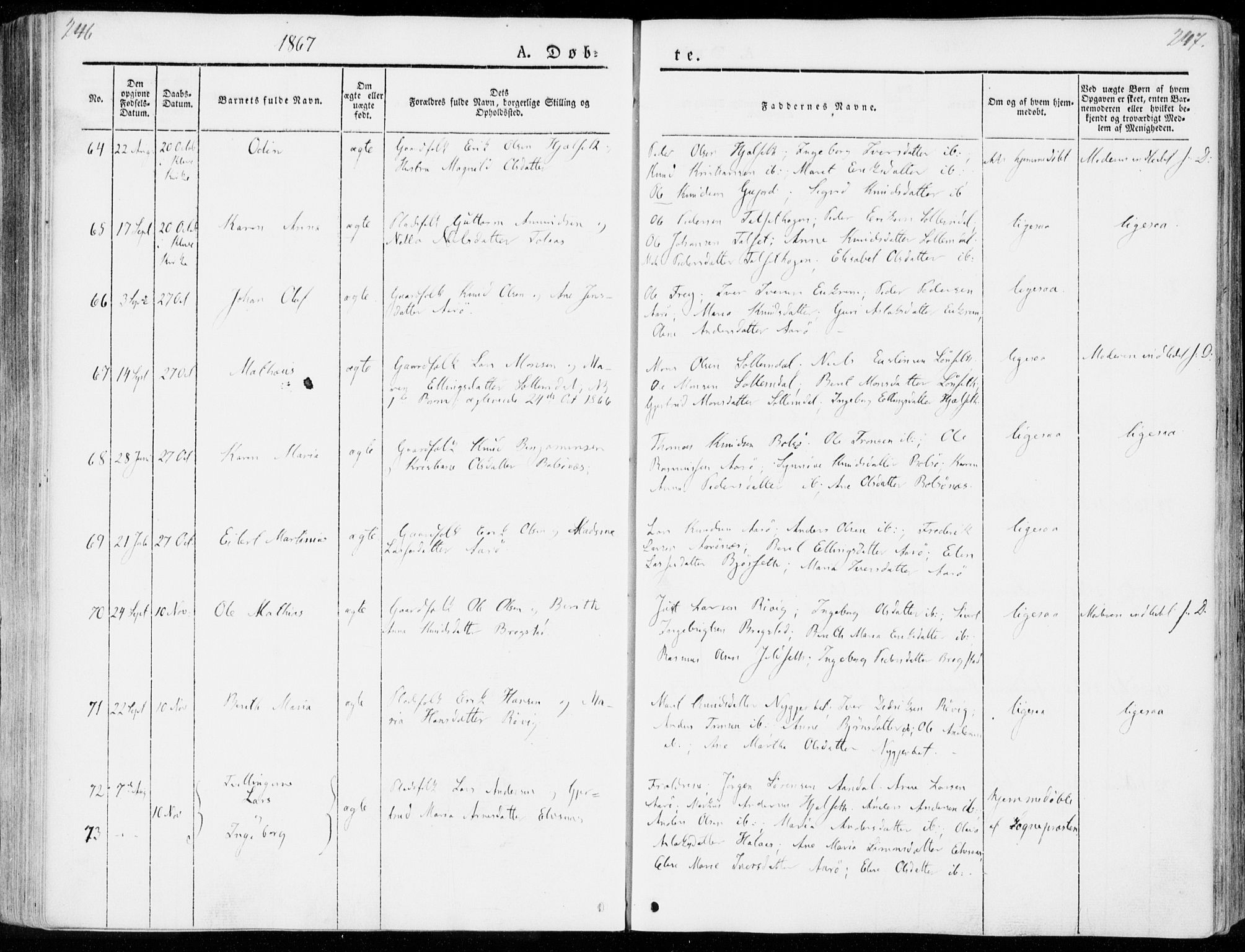 Ministerialprotokoller, klokkerbøker og fødselsregistre - Møre og Romsdal, AV/SAT-A-1454/555/L0653: Ministerialbok nr. 555A04, 1843-1869, s. 246-247