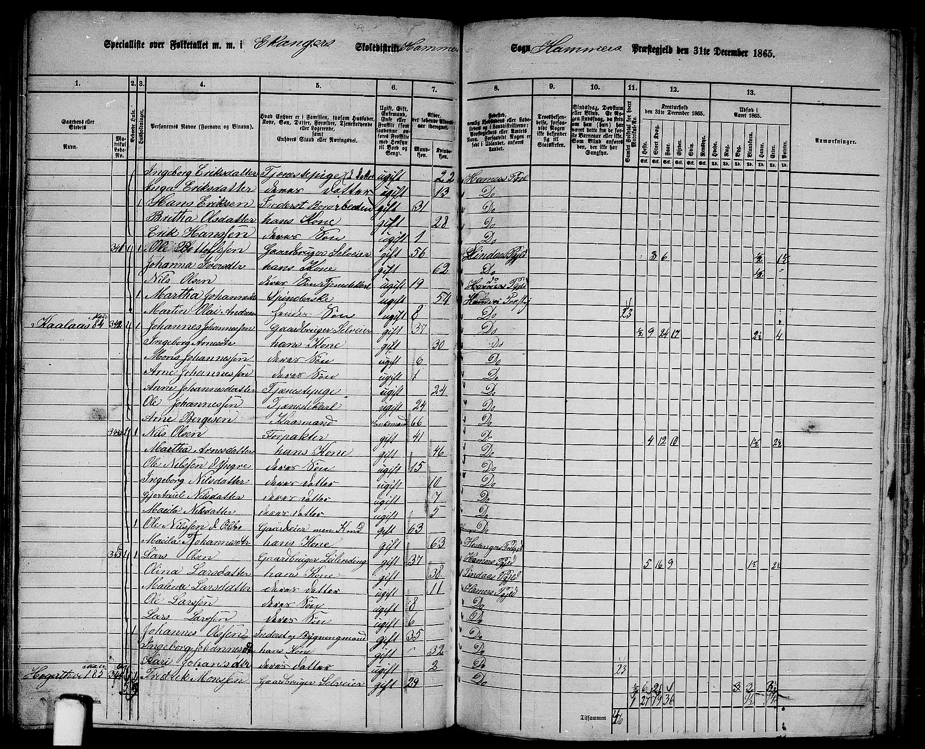 RA, Folketelling 1865 for 1254P Hamre prestegjeld, 1865, s. 124
