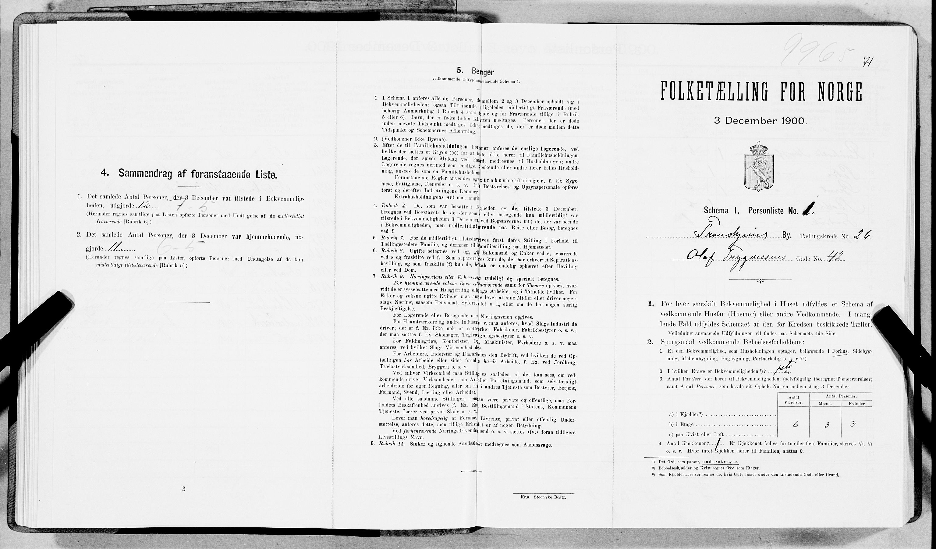 SAT, Folketelling 1900 for 1601 Trondheim kjøpstad, 1900, s. 4079