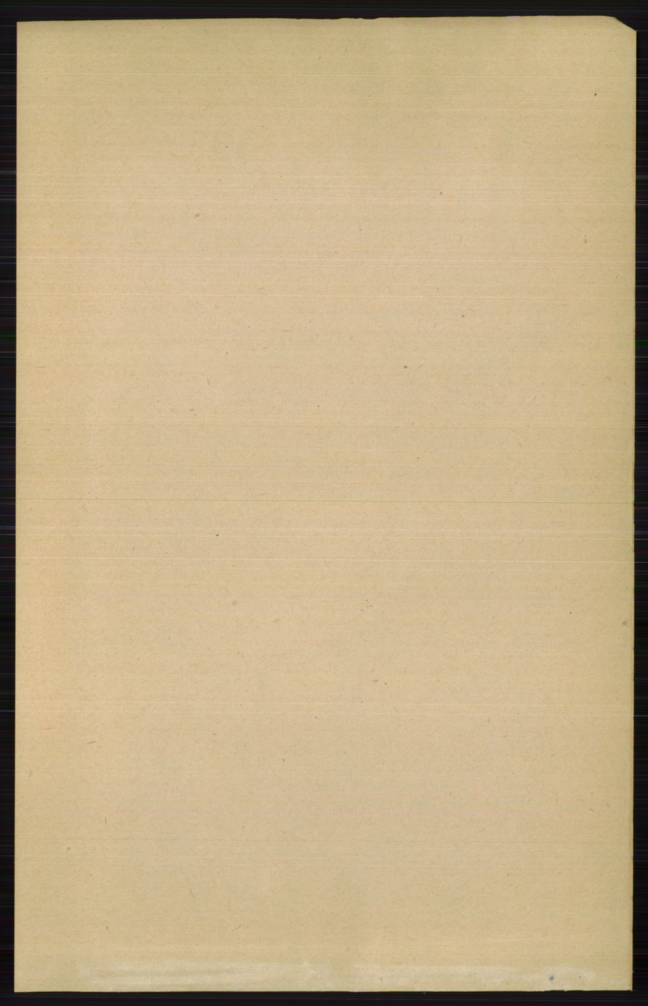RA, Folketelling 1891 for 0542 Nord-Aurdal herred, 1891, s. 4113