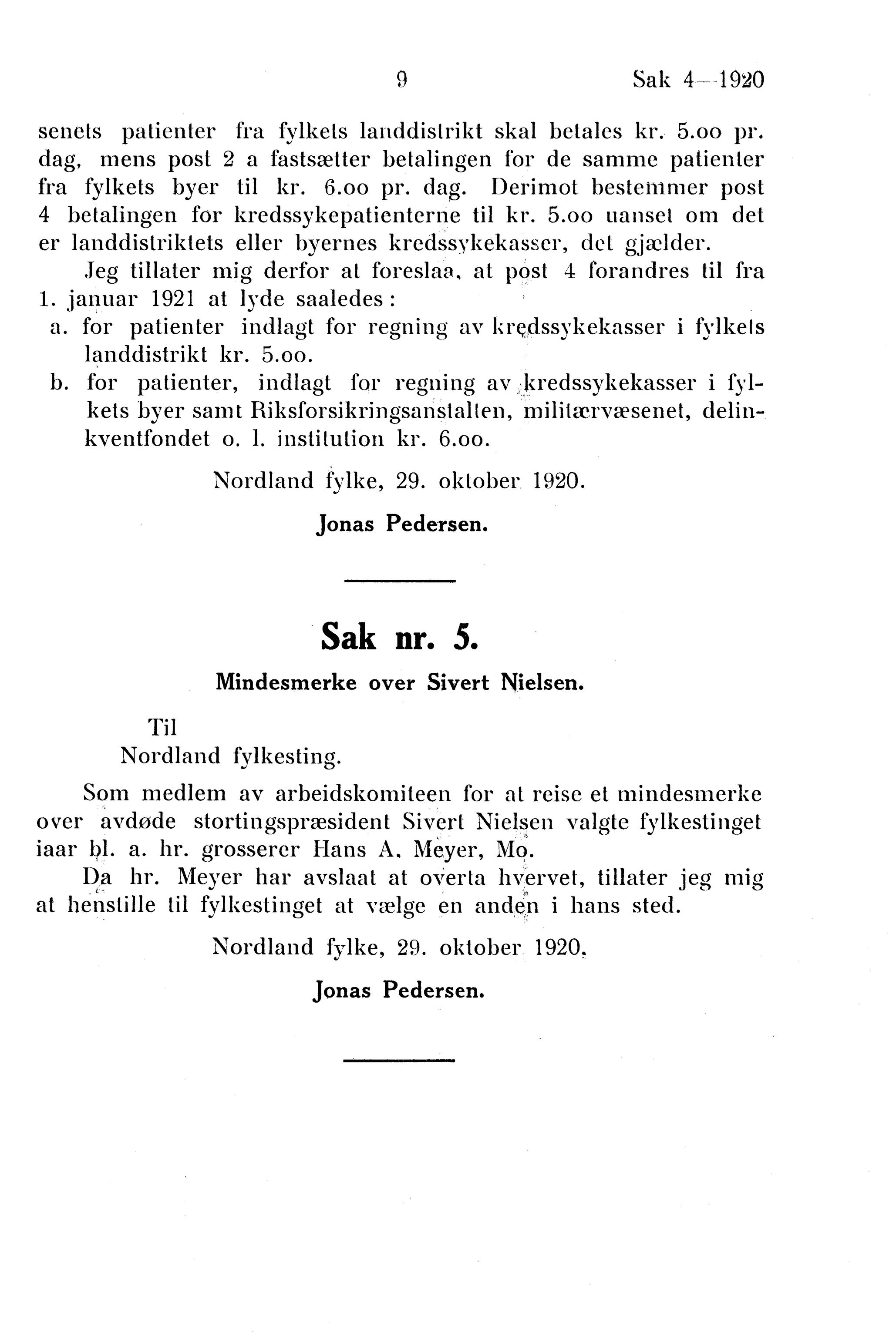 Nordland Fylkeskommune. Fylkestinget, AIN/NFK-17/176/A/Ac/L0043: Fylkestingsforhandlinger 1920, 1920