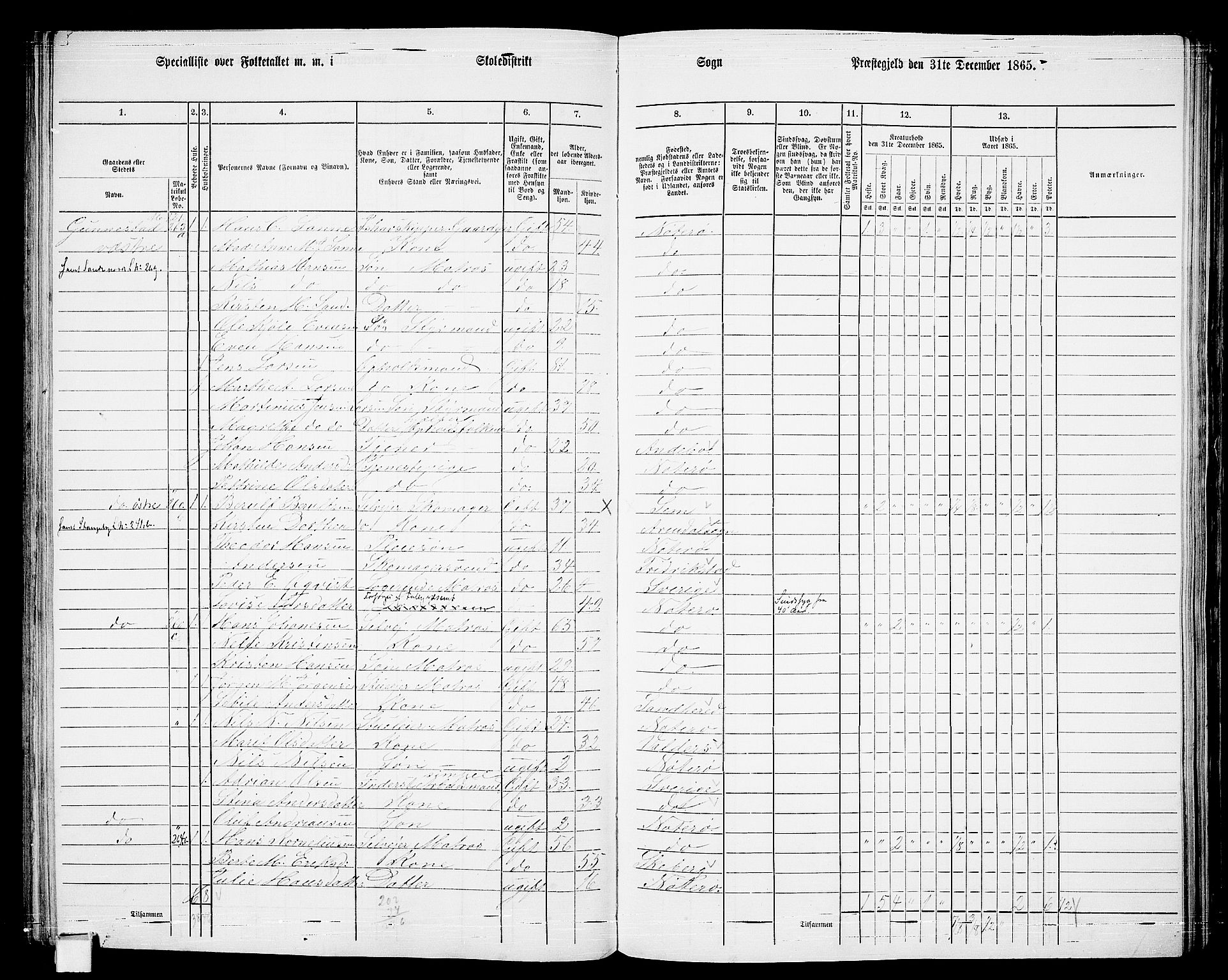 RA, Folketelling 1865 for 0722P Nøtterøy prestegjeld, 1865, s. 145