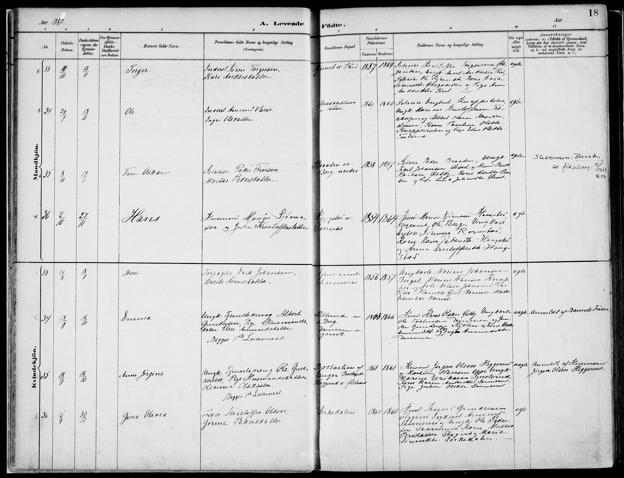 Nord-Odal prestekontor, AV/SAH-PREST-032/H/Ha/Haa/L0008: Ministerialbok nr. 8, 1886-1901, s. 18