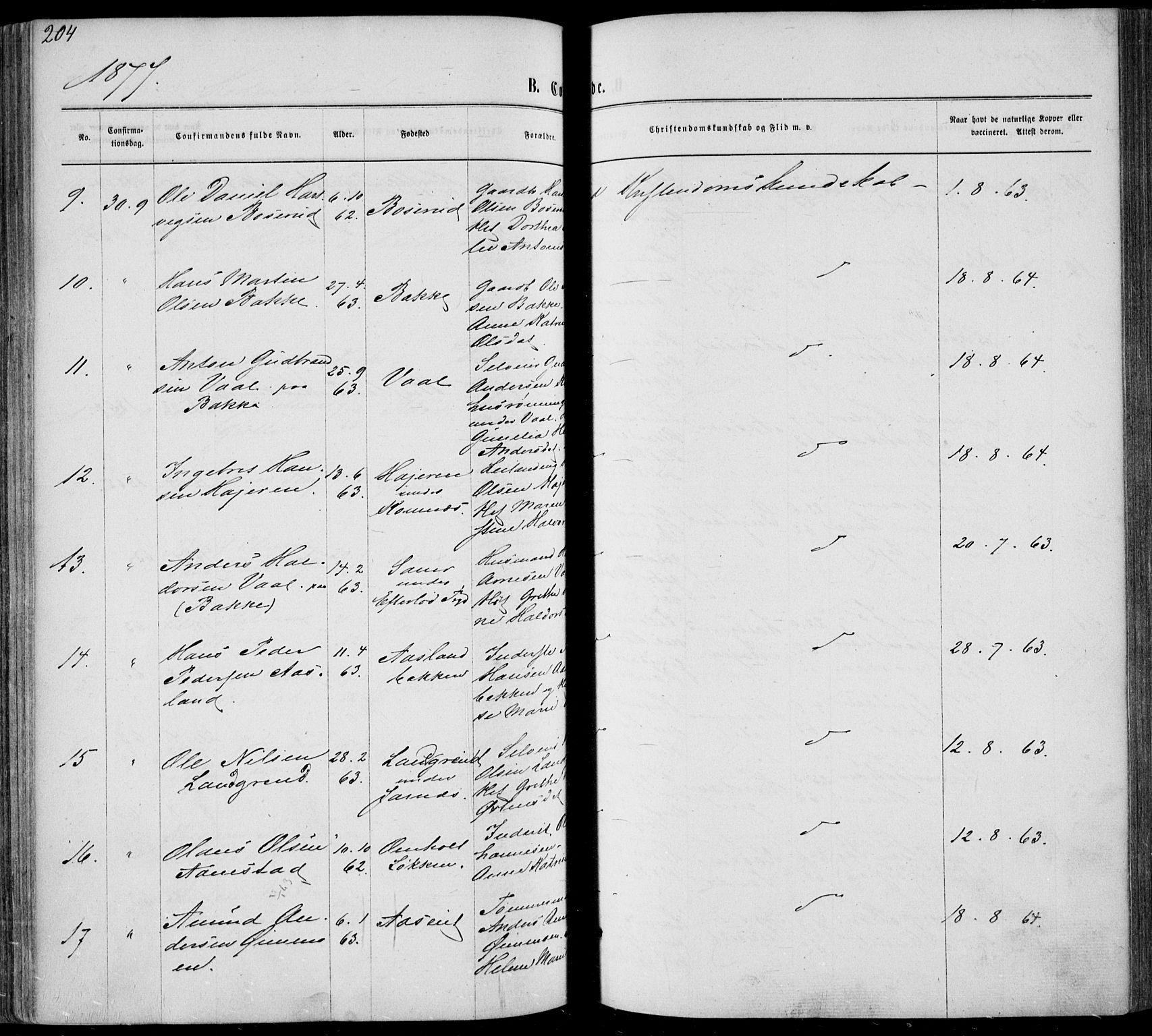 Sandsvær kirkebøker, SAKO/A-244/F/Fa/L0007: Ministerialbok nr. I 7, 1869-1877, s. 204