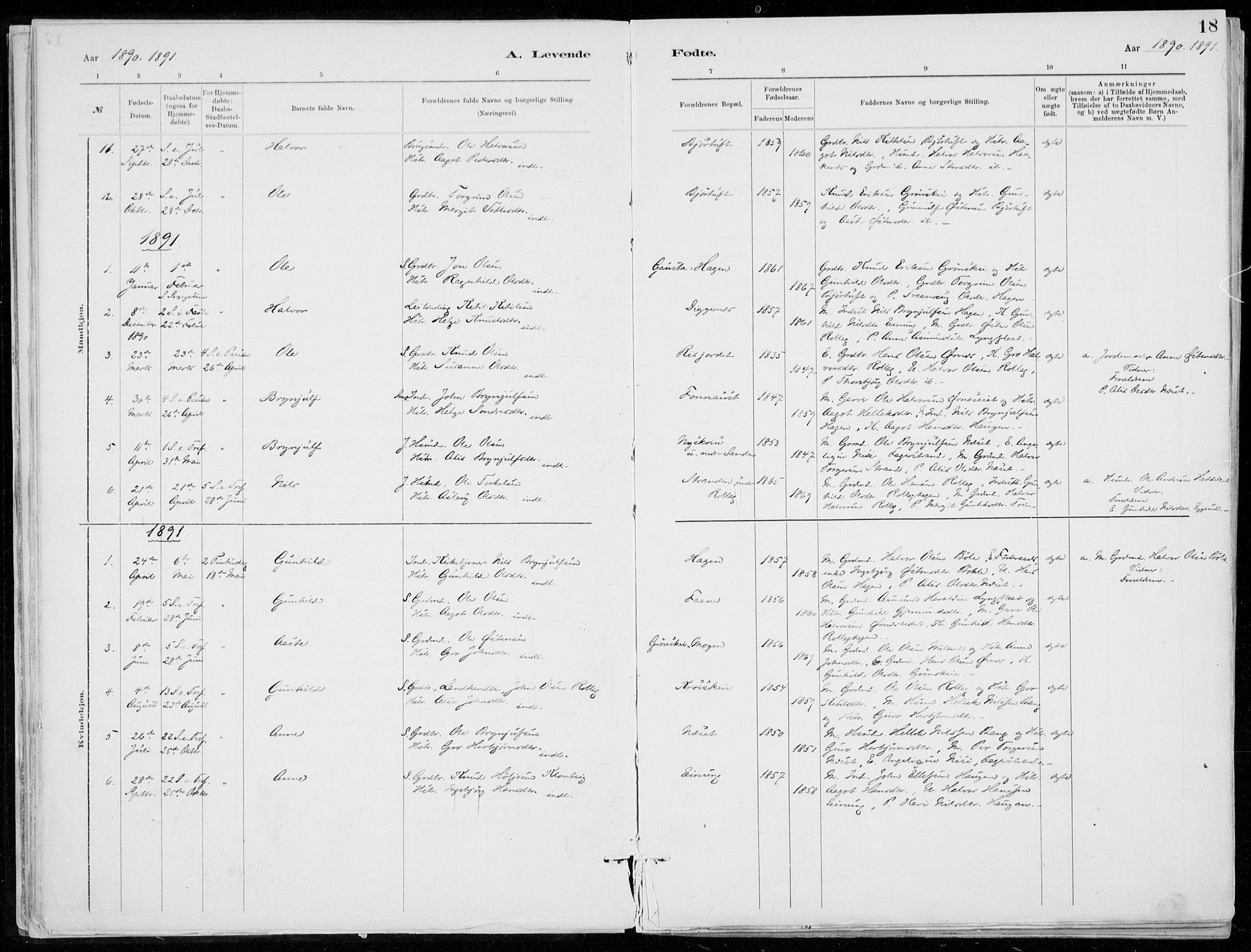 Tinn kirkebøker, AV/SAKO-A-308/F/Fb/L0002: Ministerialbok nr. II 2, 1878-1917, s. 18