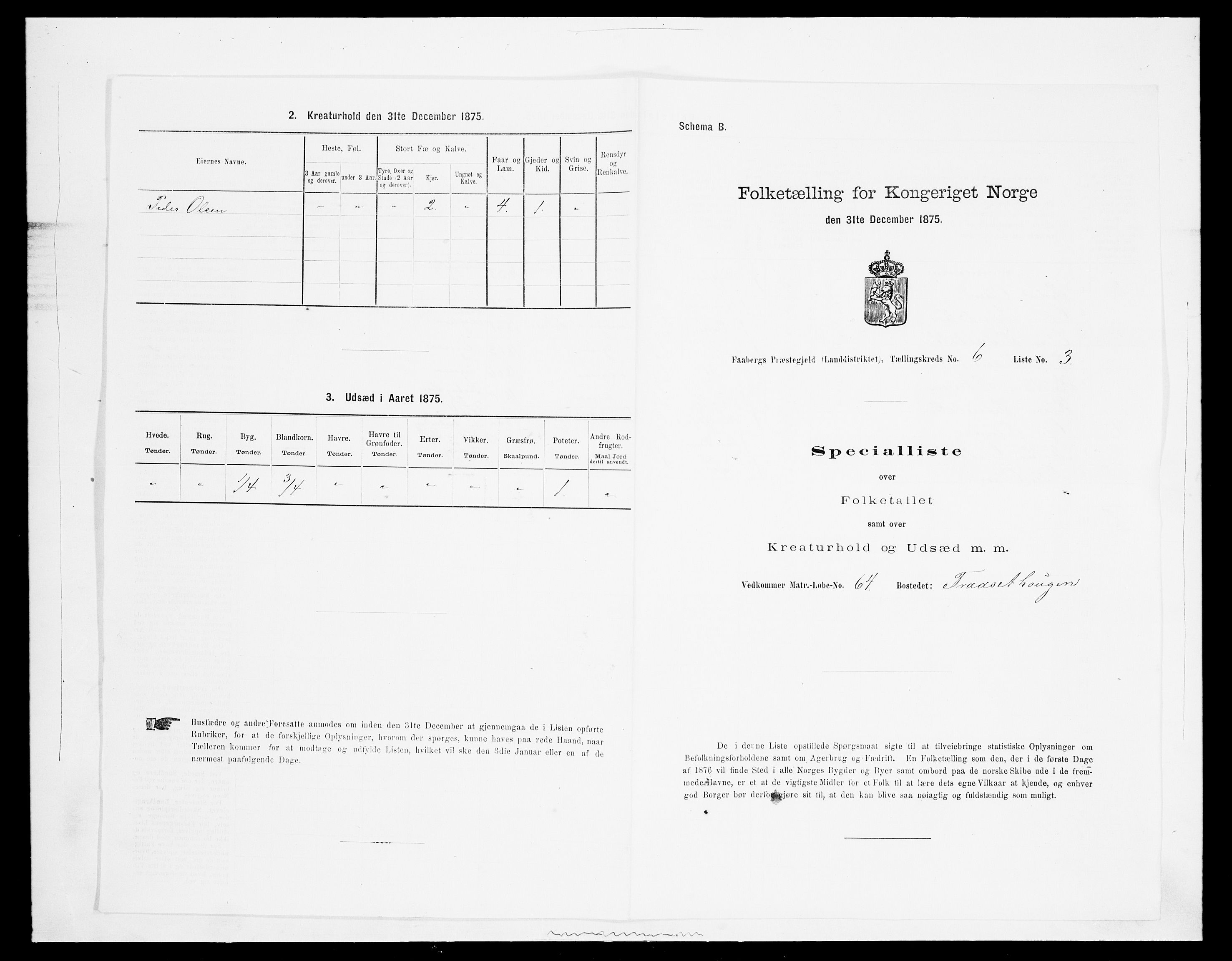 SAH, Folketelling 1875 for 0524L Fåberg prestegjeld, Fåberg sokn og Lillehammer landsokn, 1875, s. 703