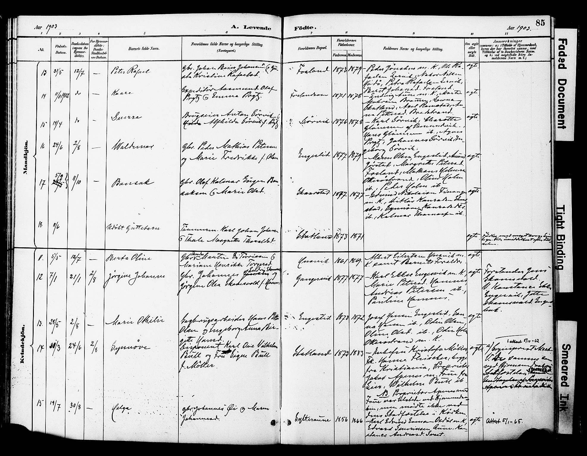 Ministerialprotokoller, klokkerbøker og fødselsregistre - Nord-Trøndelag, SAT/A-1458/774/L0628: Ministerialbok nr. 774A02, 1887-1903, s. 85