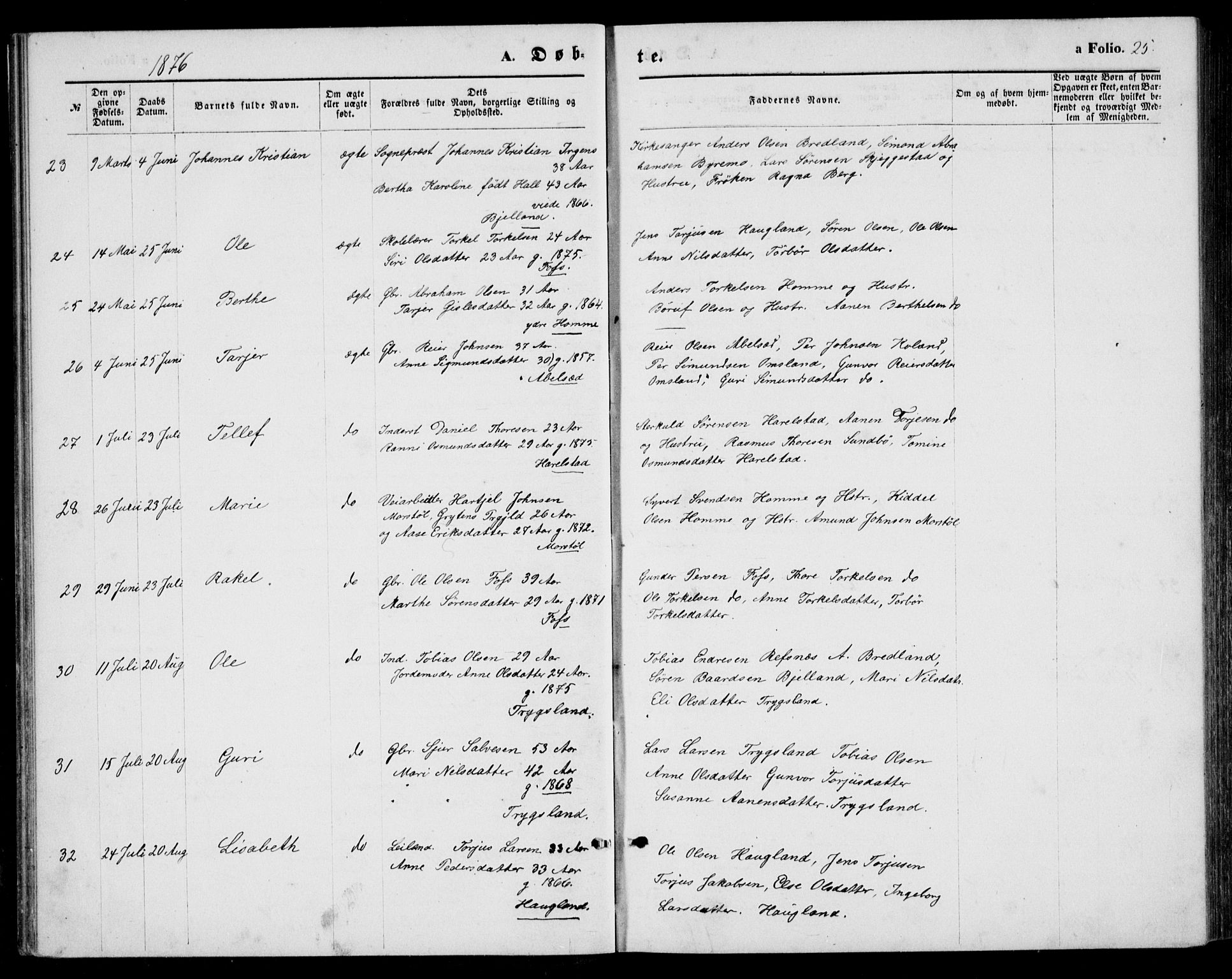 Bjelland sokneprestkontor, AV/SAK-1111-0005/F/Fb/Fba/L0004: Klokkerbok nr. B 4, 1869-1886, s. 25
