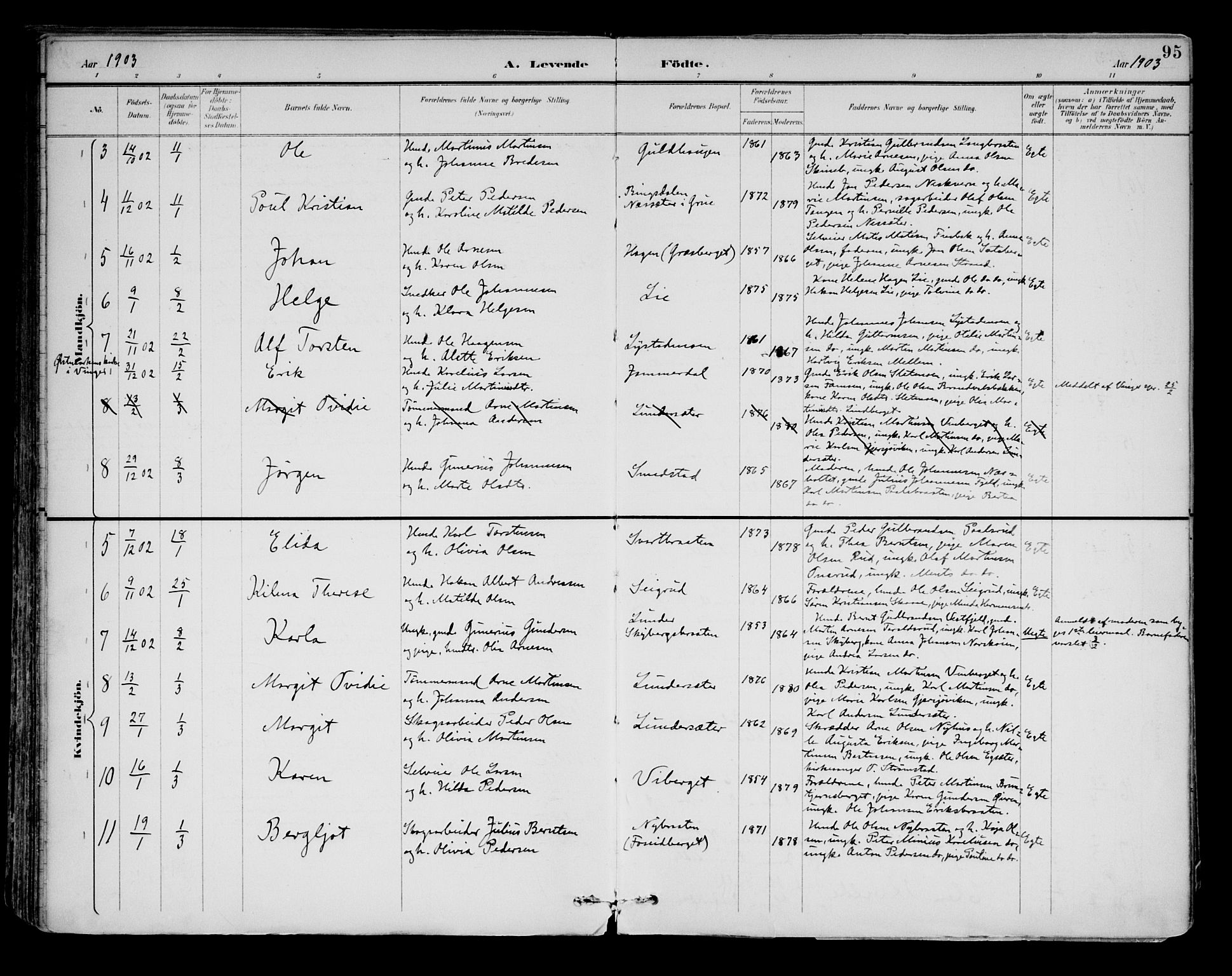 Brandval prestekontor, AV/SAH-PREST-034/H/Ha/Haa/L0003: Ministerialbok nr. 3, 1894-1909, s. 95