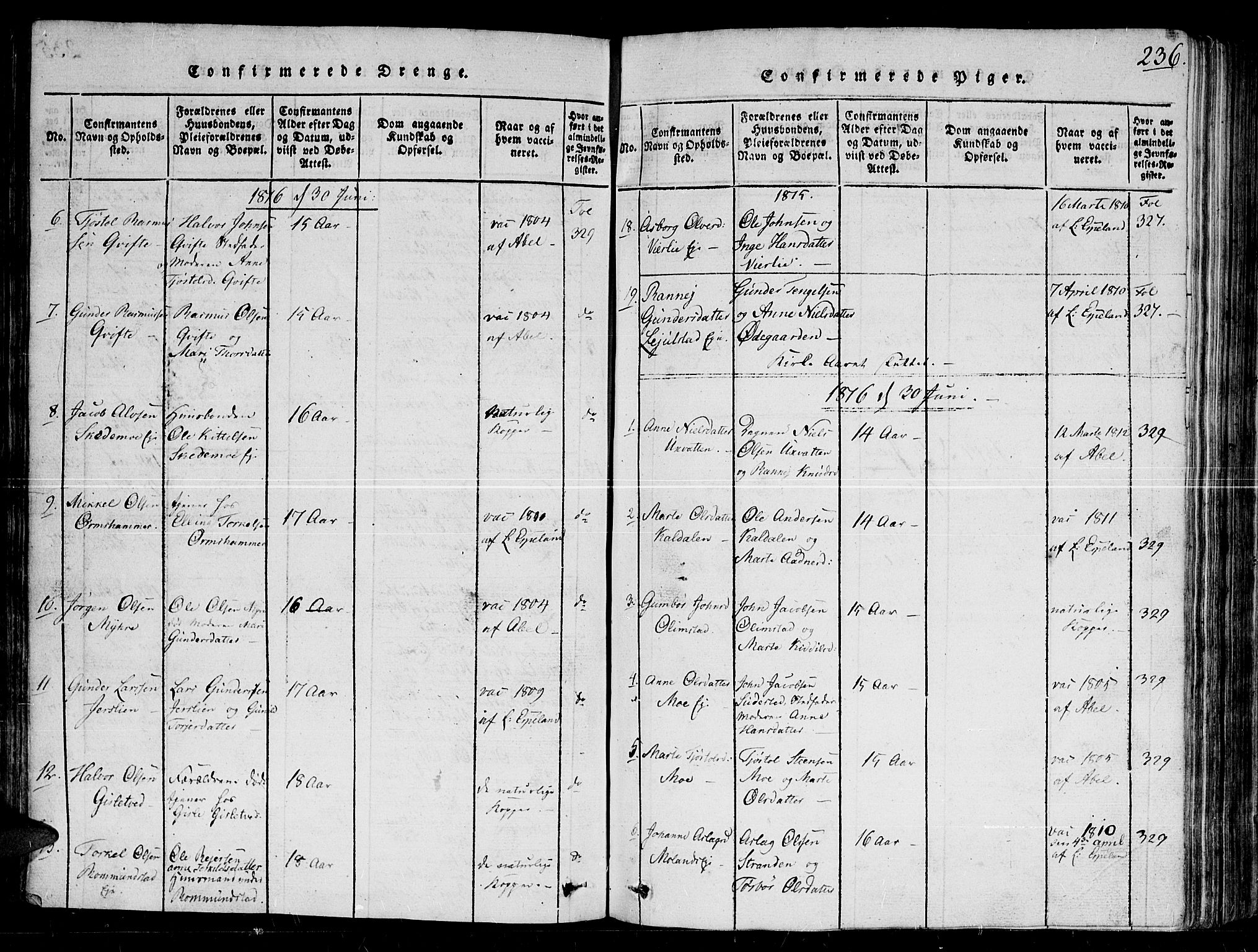 Gjerstad sokneprestkontor, AV/SAK-1111-0014/F/Fb/Fbb/L0001: Klokkerbok nr. B 1, 1813-1863, s. 236