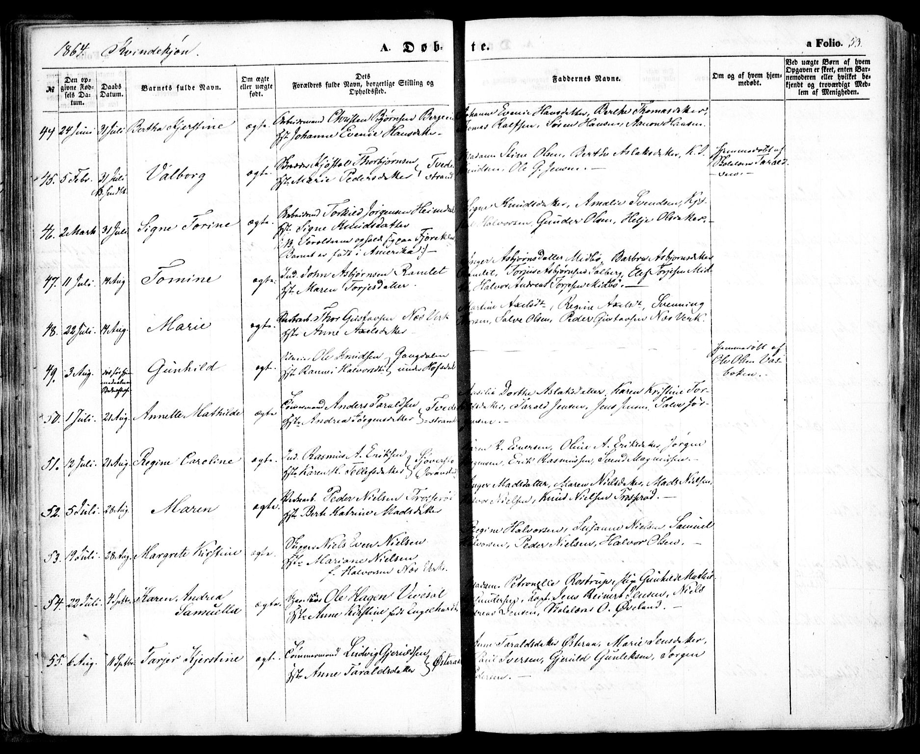 Holt sokneprestkontor, AV/SAK-1111-0021/F/Fa/L0009: Ministerialbok nr. A 9, 1861-1871, s. 53