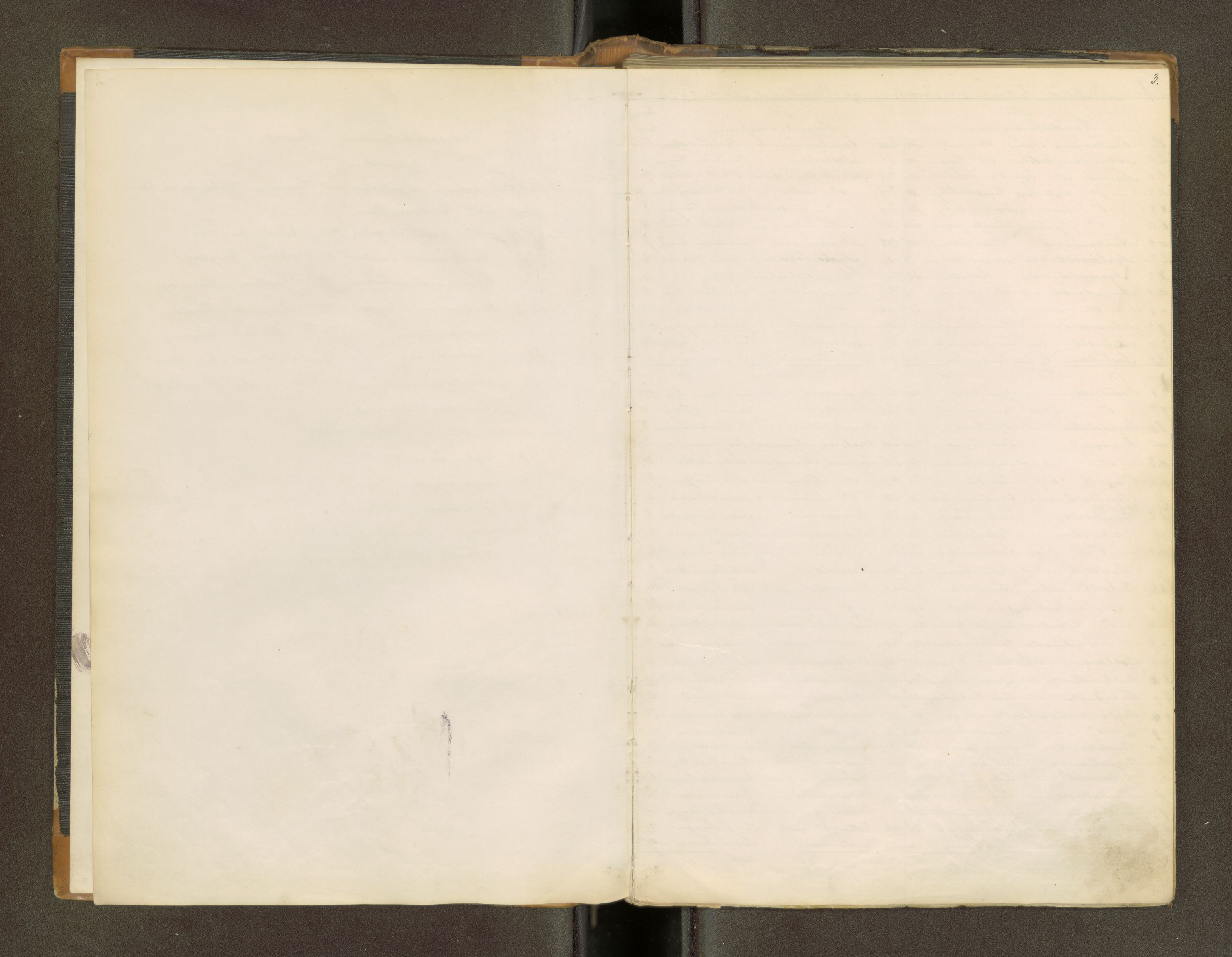 Røros kobberverk, AV/SAT-PA-0211/1/16/16A2/L0009: Jordegodset i det hele vedkommende, 1868-1897, s. 4