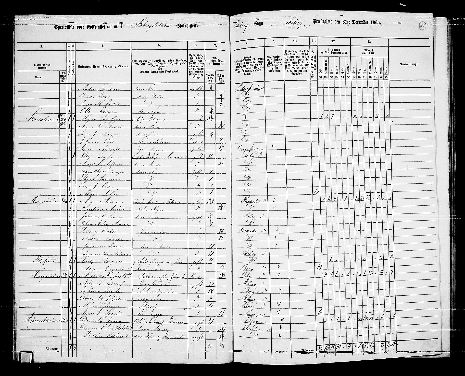 RA, Folketelling 1865 for 0115P Skjeberg prestegjeld, 1865, s. 46