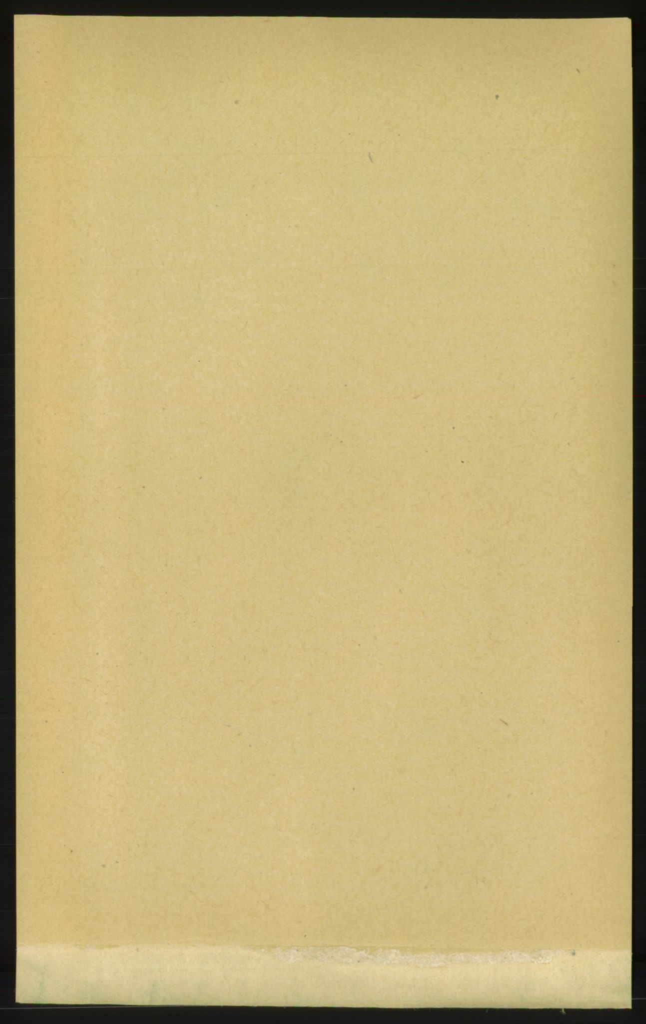 RA, Folketelling 1891 for 1559 Straumsnes herred, 1891, s. 41