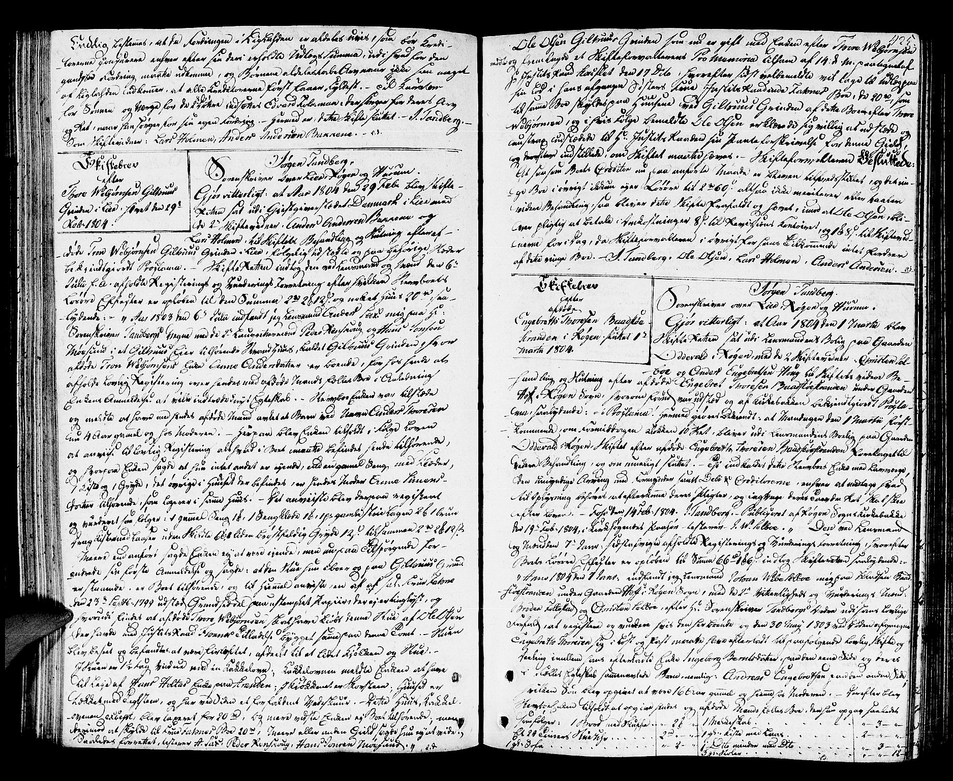 Lier, Røyken og Hurum sorenskriveri, SAKO/A-89/H/Hc/L0008: Skifteprotokoll, 1799-1805, s. 424b-425a