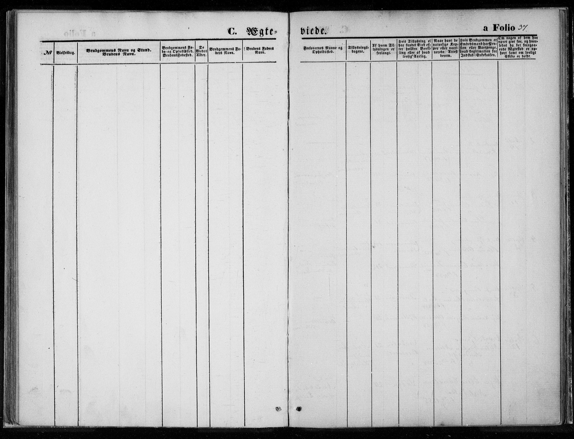 Ministerialprotokoller, klokkerbøker og fødselsregistre - Nord-Trøndelag, AV/SAT-A-1458/720/L0187: Ministerialbok nr. 720A04 /1, 1875-1879, s. 37