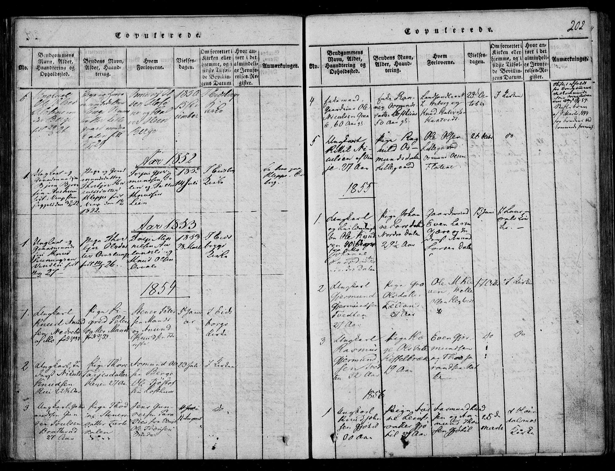 Lårdal kirkebøker, SAKO/A-284/F/Fb/L0001: Ministerialbok nr. II 1, 1815-1860, s. 202