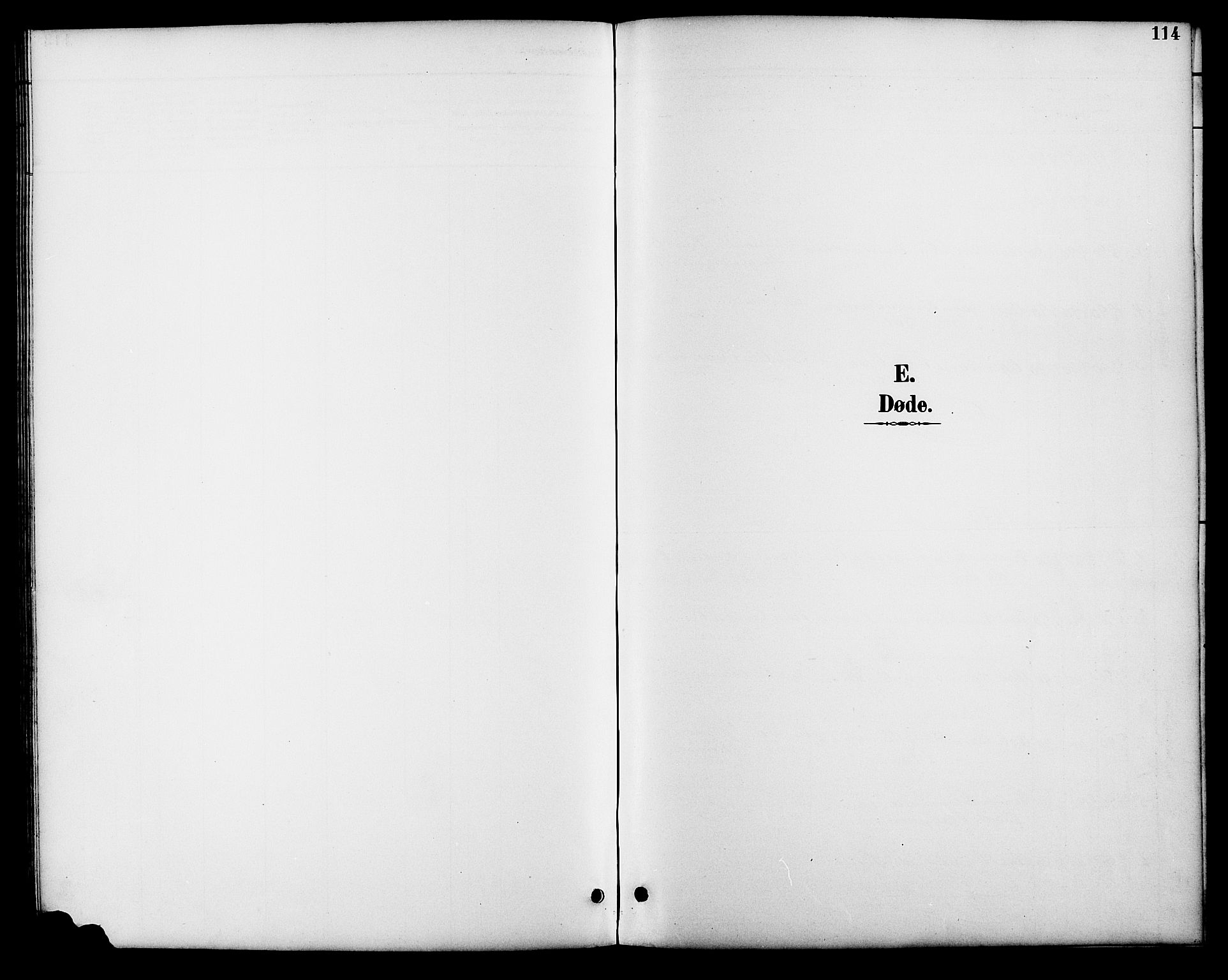 Åmli sokneprestkontor, SAK/1111-0050/F/Fb/Fbb/L0002: Klokkerbok nr. B 2, 1890-1905, s. 114