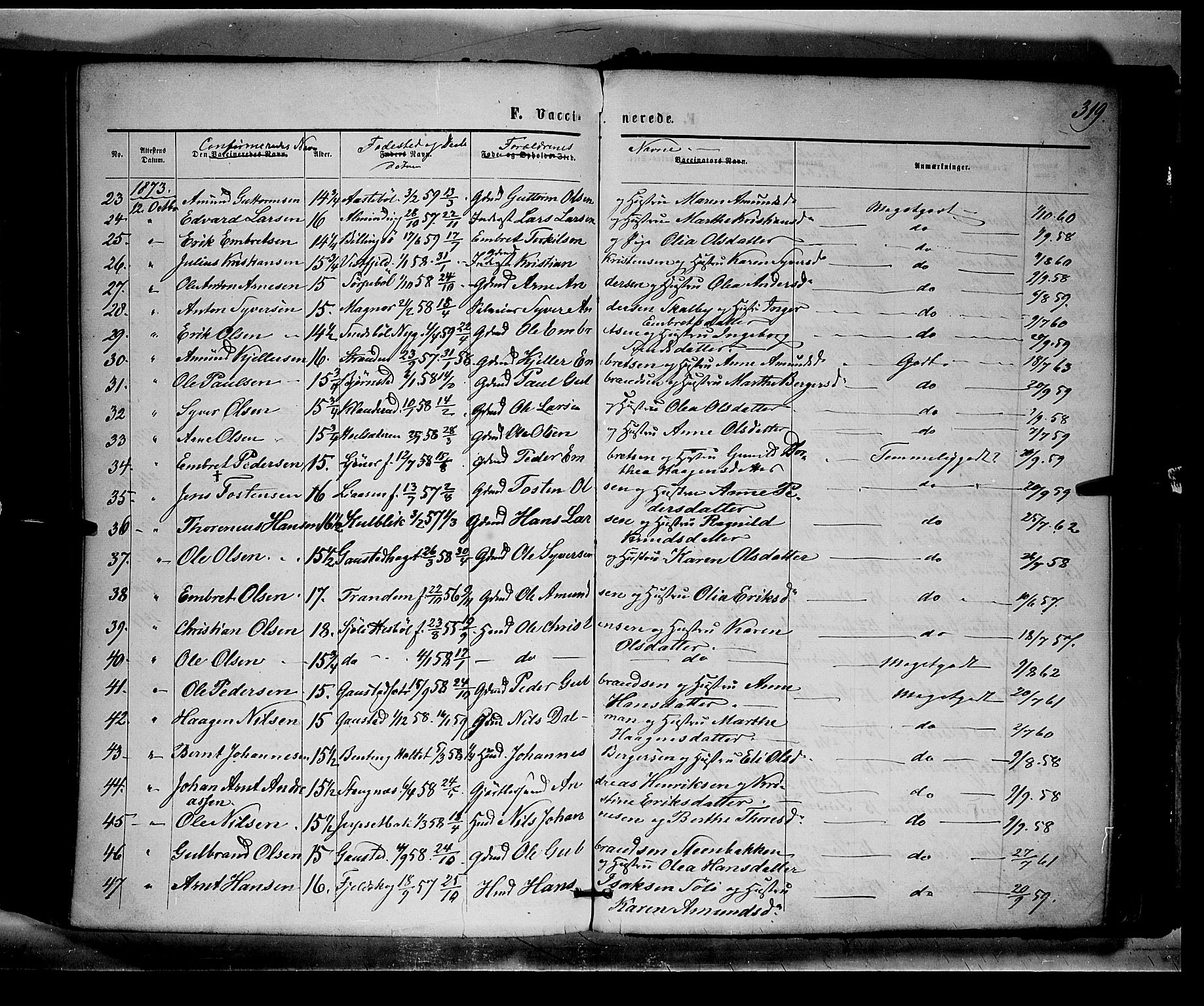Eidskog prestekontor, AV/SAH-PREST-026/H/Ha/Haa/L0002: Ministerialbok nr. 2, 1867-1878, s. 319