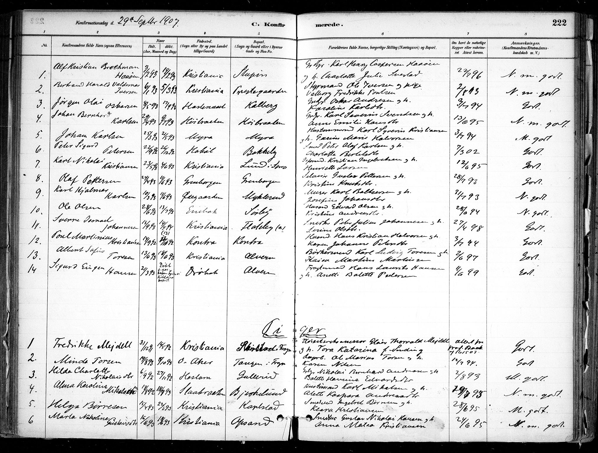 Nesodden prestekontor Kirkebøker, AV/SAO-A-10013/F/Fa/L0009: Ministerialbok nr. I 9, 1880-1915, s. 222