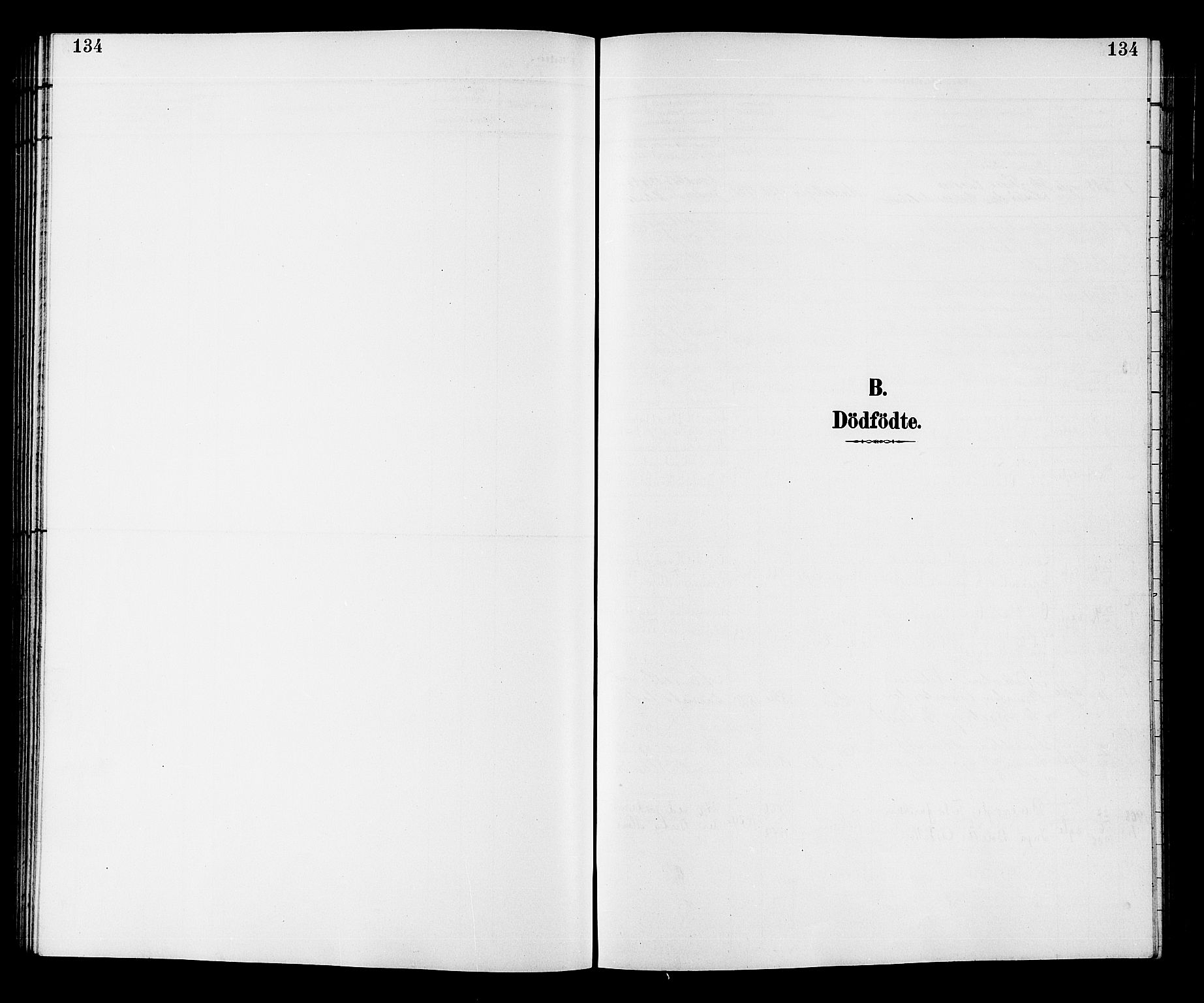 Fiskum kirkebøker, SAKO/A-15/G/Ga/L0005: Klokkerbok nr. 5, 1887-1912, s. 134