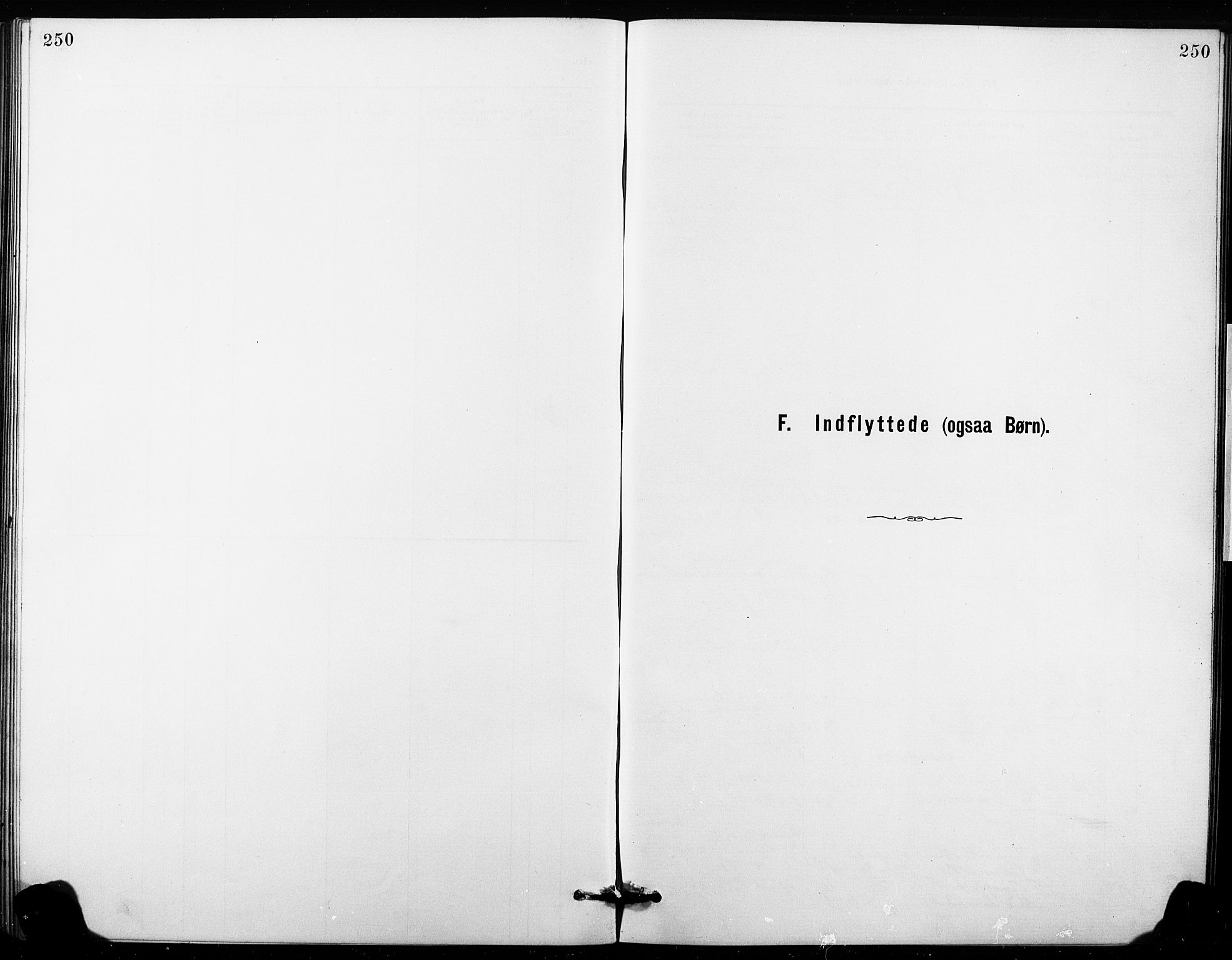 Hønefoss kirkebøker, SAKO/A-609/G/Ga/L0001: Klokkerbok nr. 1, 1870-1887, s. 250