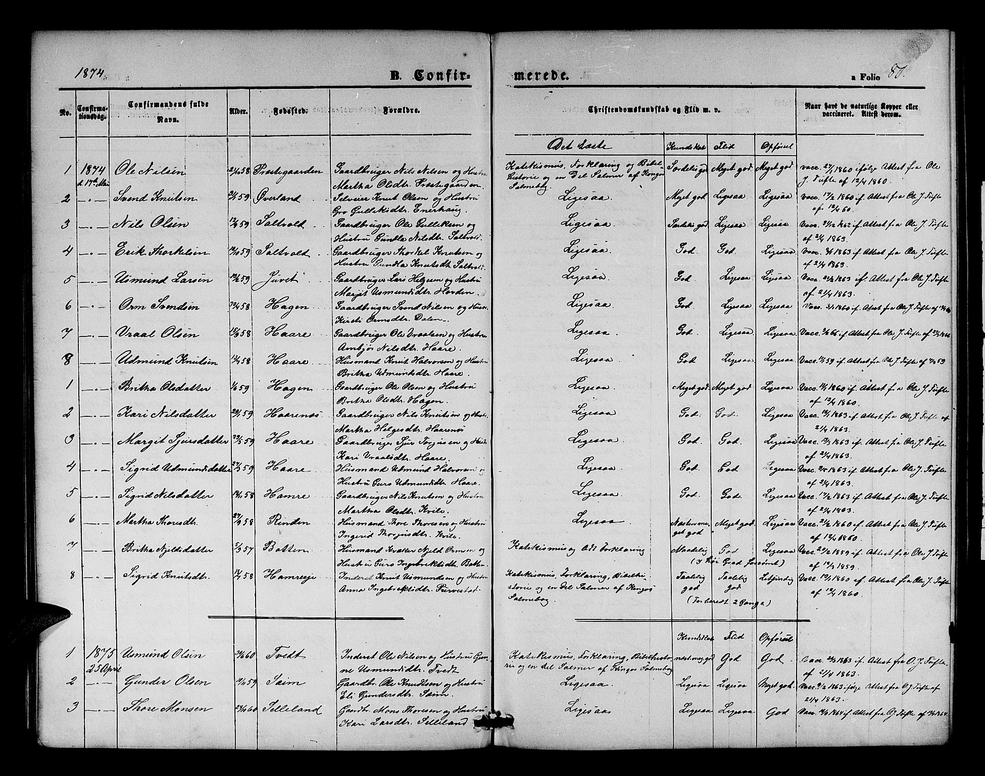 Røldal sokneprestembete, AV/SAB-A-100247: Klokkerbok nr. A 2, 1861-1886, s. 80