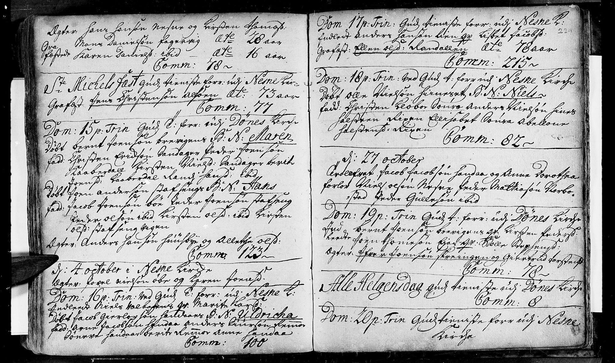 Ministerialprotokoller, klokkerbøker og fødselsregistre - Nordland, AV/SAT-A-1459/838/L0542: Ministerialbok nr. 838A01, 1704-1737, s. 229