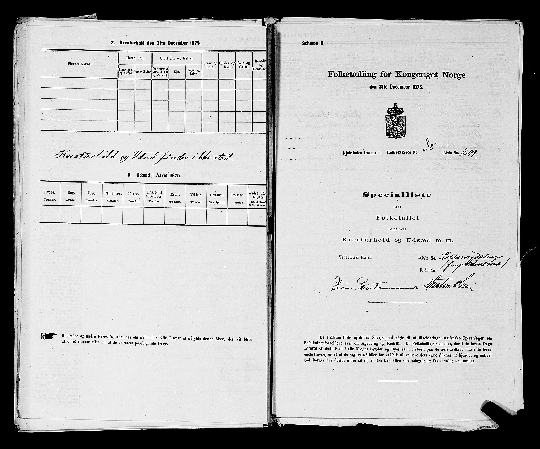 SAKO, Folketelling 1875 for 0602 Drammen kjøpstad, 1875, s. 3301