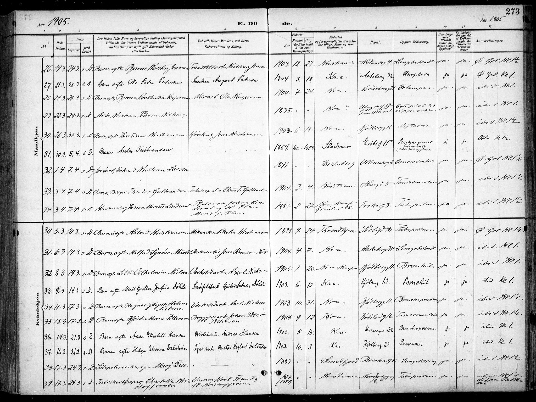 Kampen prestekontor Kirkebøker, AV/SAO-A-10853/F/Fa/L0009: Ministerialbok nr. I 9, 1899-1911, s. 273