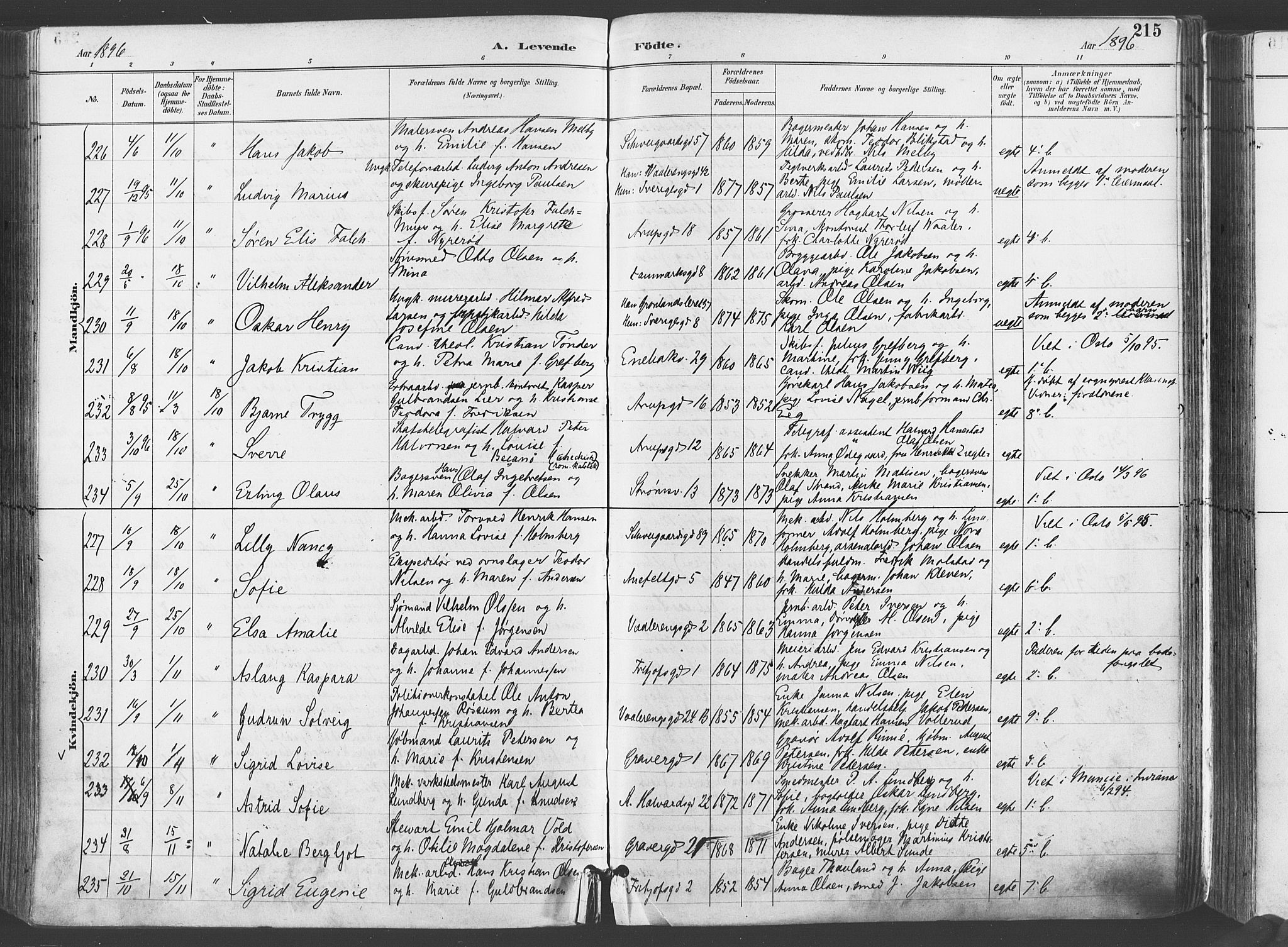 Gamlebyen prestekontor Kirkebøker, AV/SAO-A-10884/F/Fa/L0007: Ministerialbok nr. 7, 1889-1899, s. 215