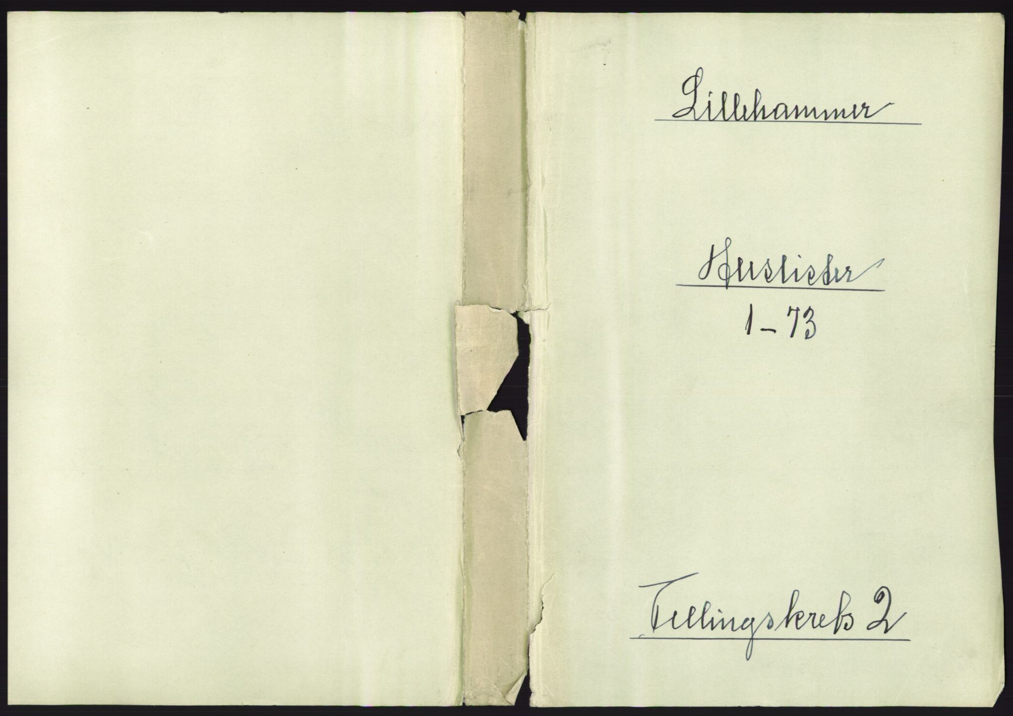 RA, Folketelling 1891 for 0501 Lillehammer kjøpstad, 1891, s. 209